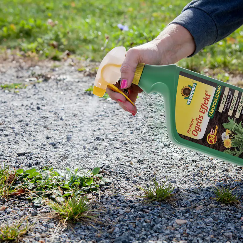 Ogräsbekämpning Neudorff Effekt 1L Spray