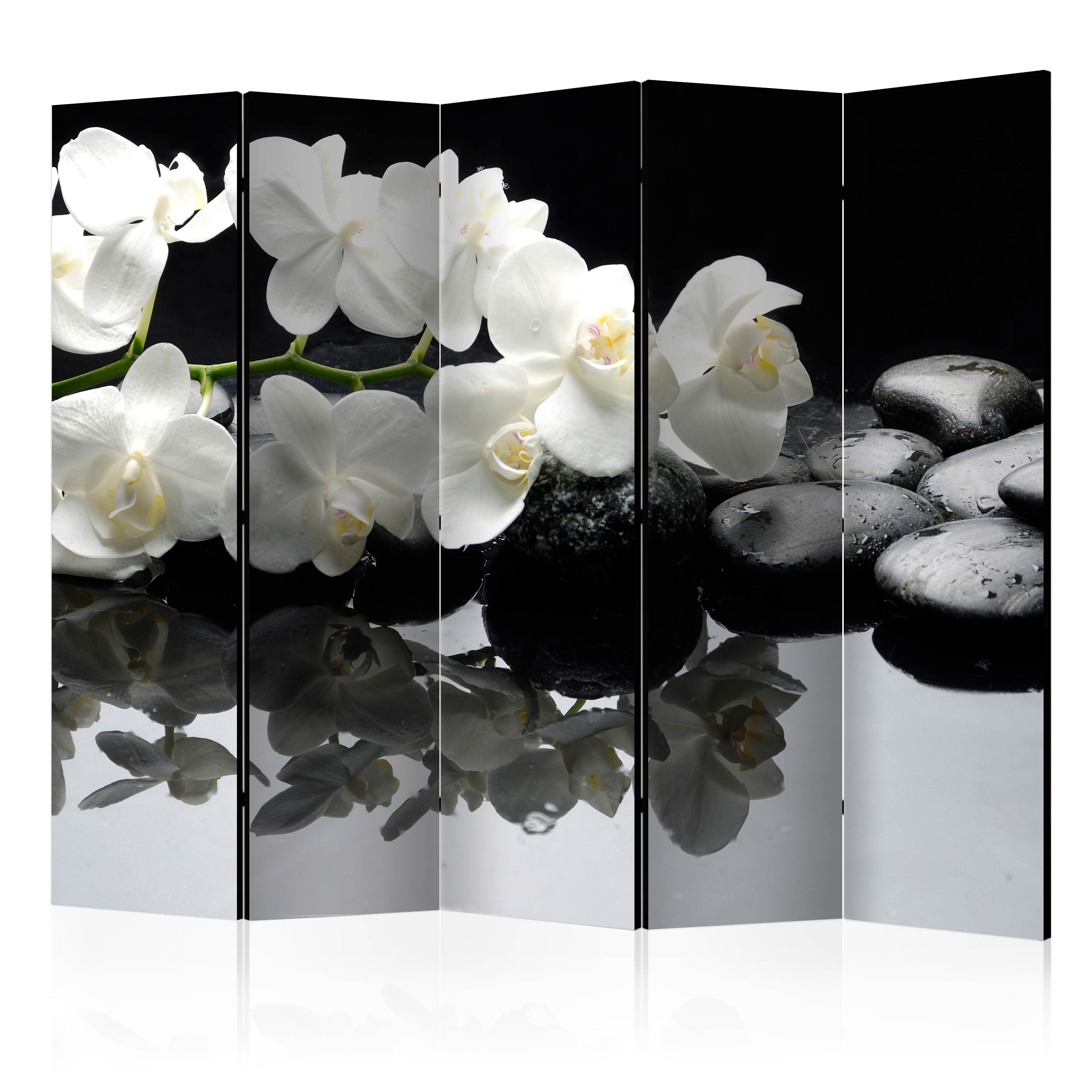 Rumsavdelare Arkiio Spa, Stones and Orchid II 225x172 cm