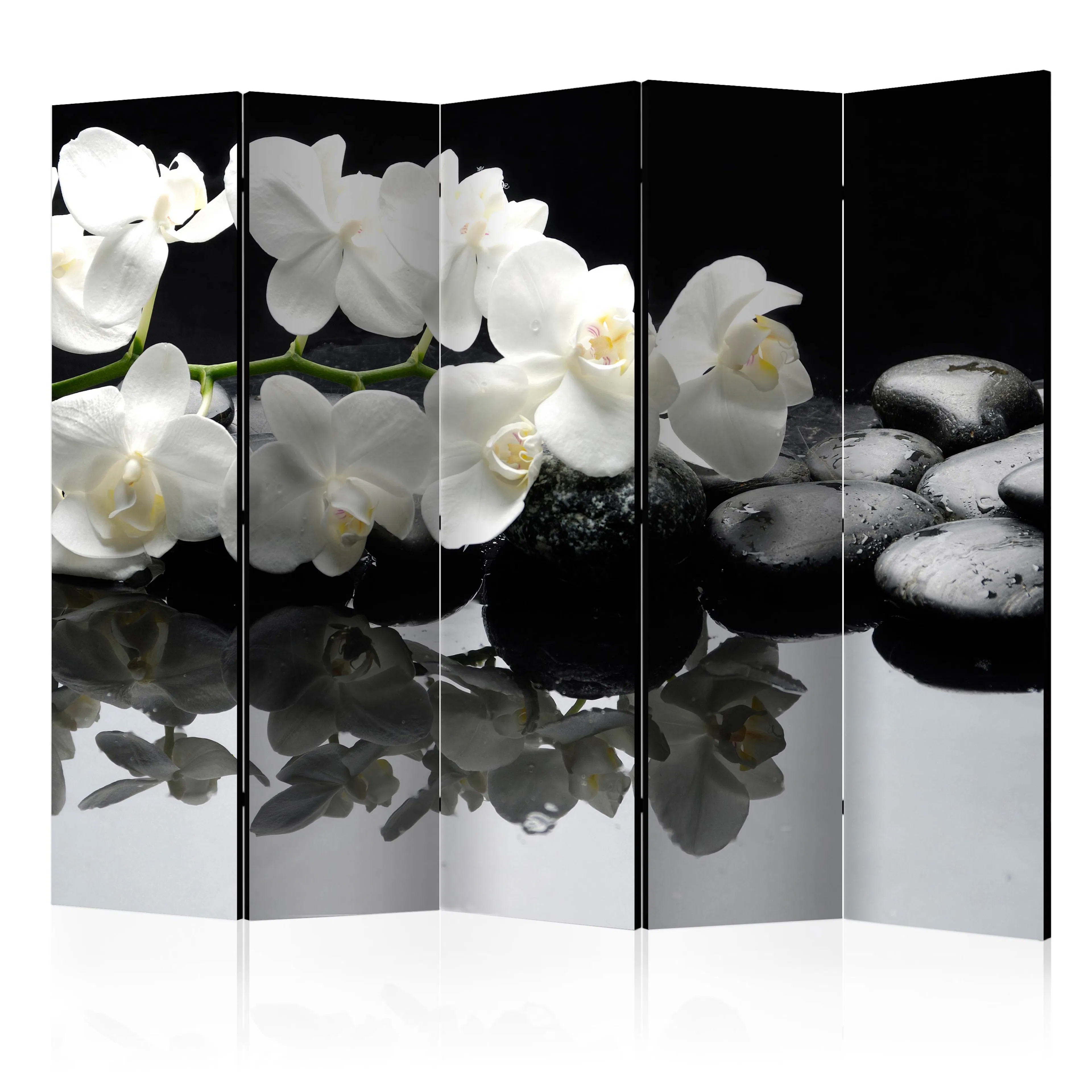 Rumsavdelare Arkiio Spa, Stones and Orchid II 225x172 cm