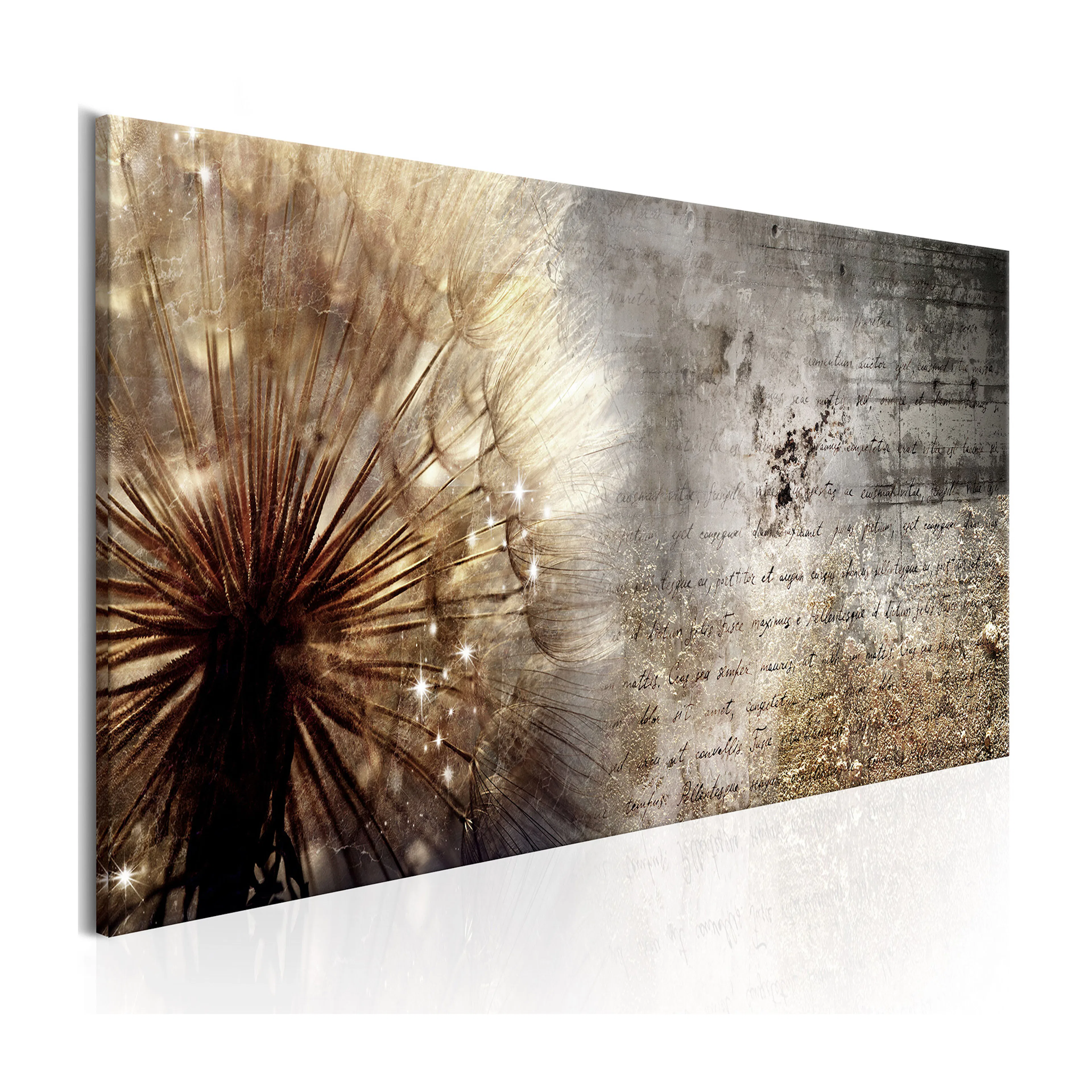 Tavla Arkiio Dandelion On Concrete