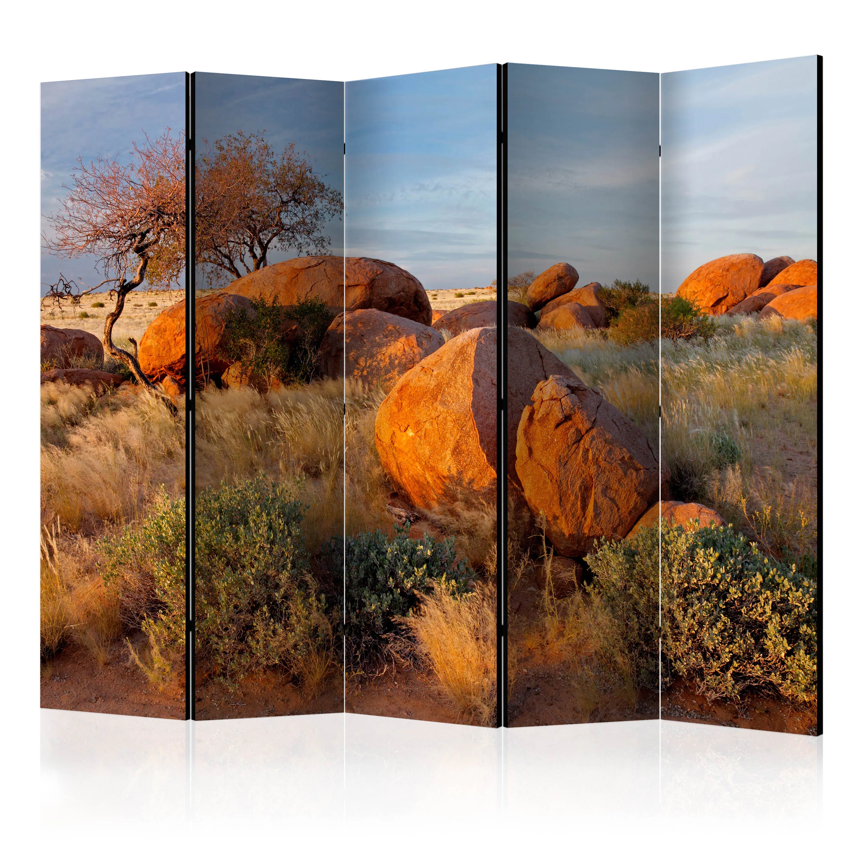 Rumsavdelare Arkiio African Landscape Namibia II 225x172 cm
