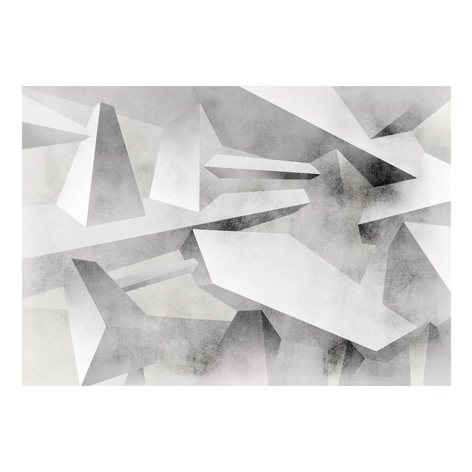 Fototapet Arkiio Frozen Wings
