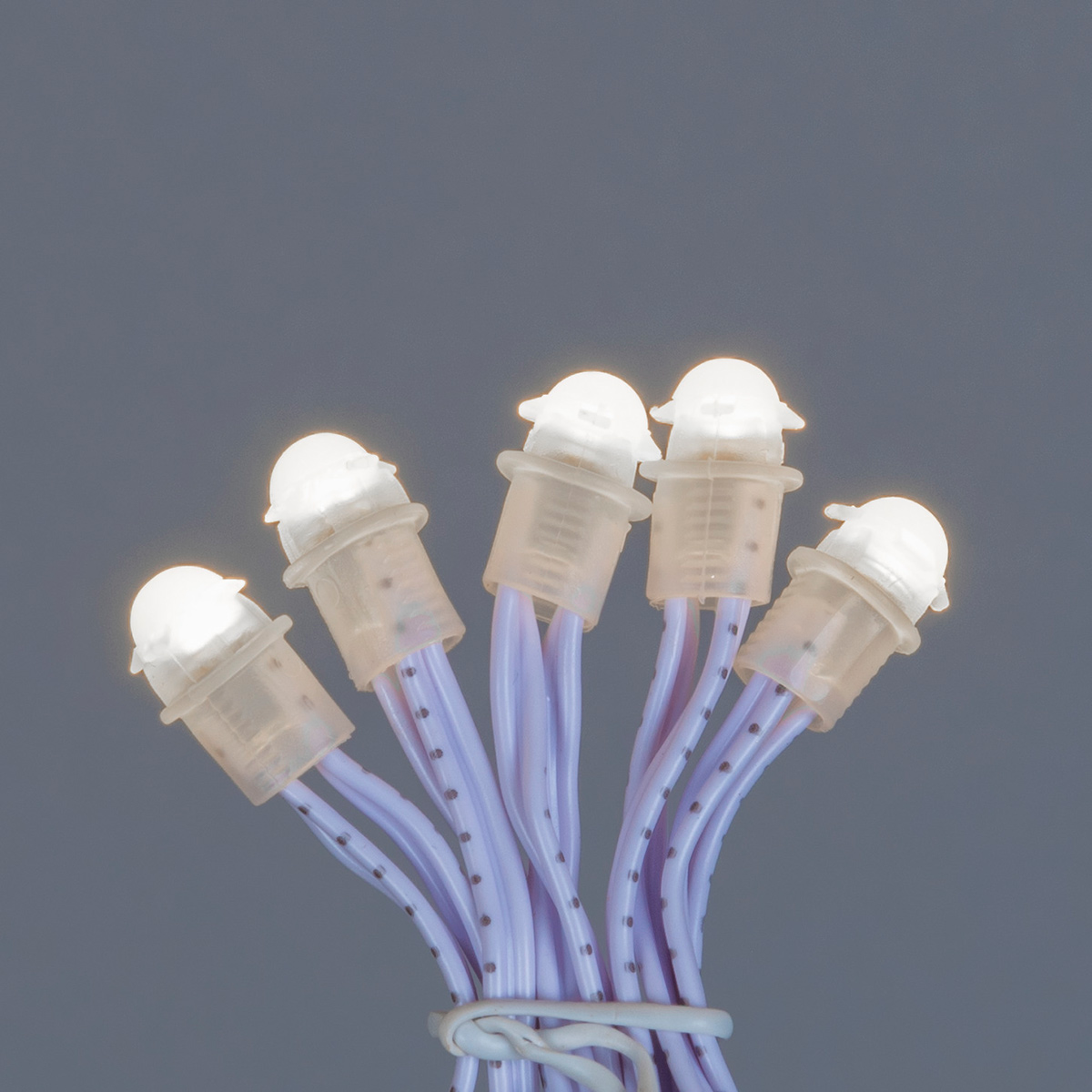 Ljusslinga Gnosjö Konstsmide 100 varmvita LED