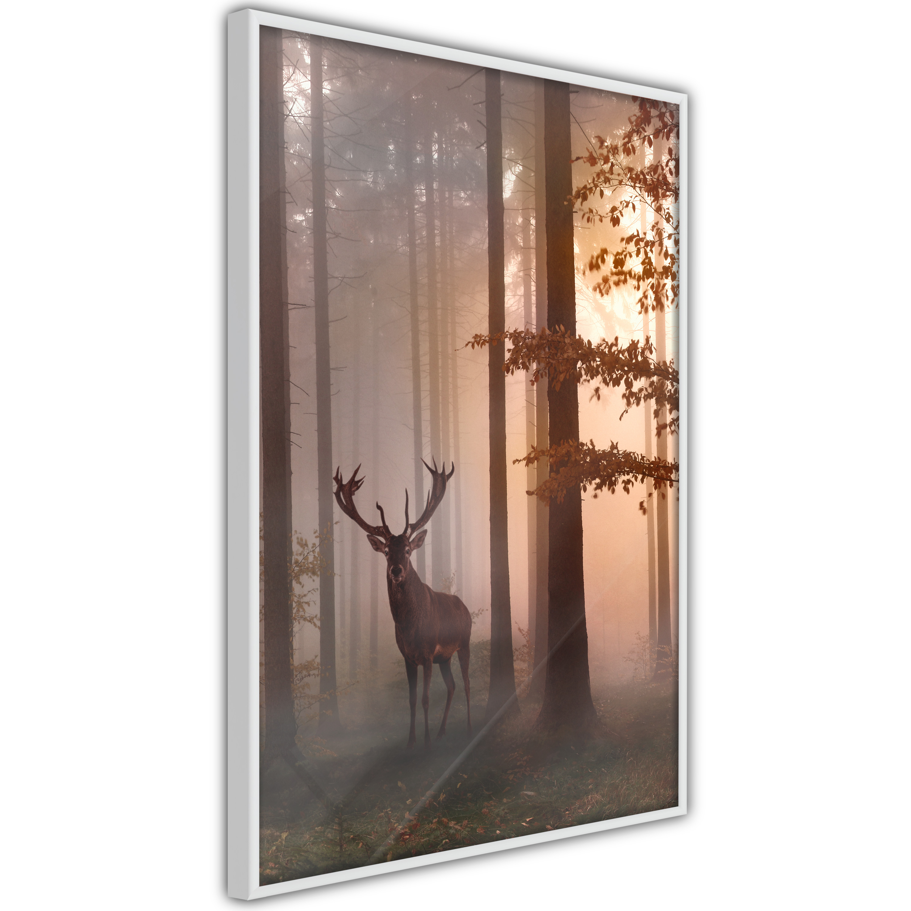 Poster Artgeist Affisch Morning