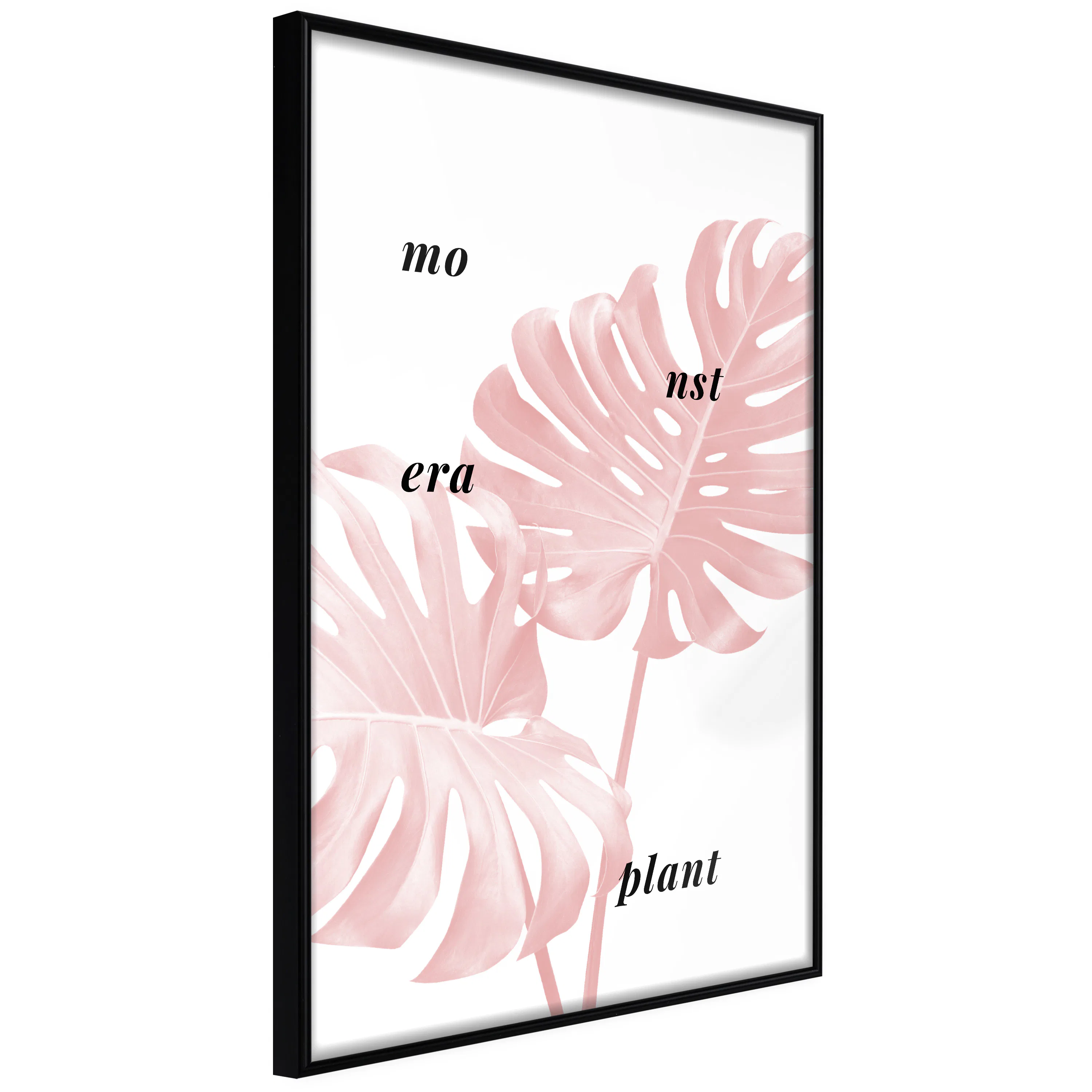 Poster Artgeist Affisch Monstera Plant