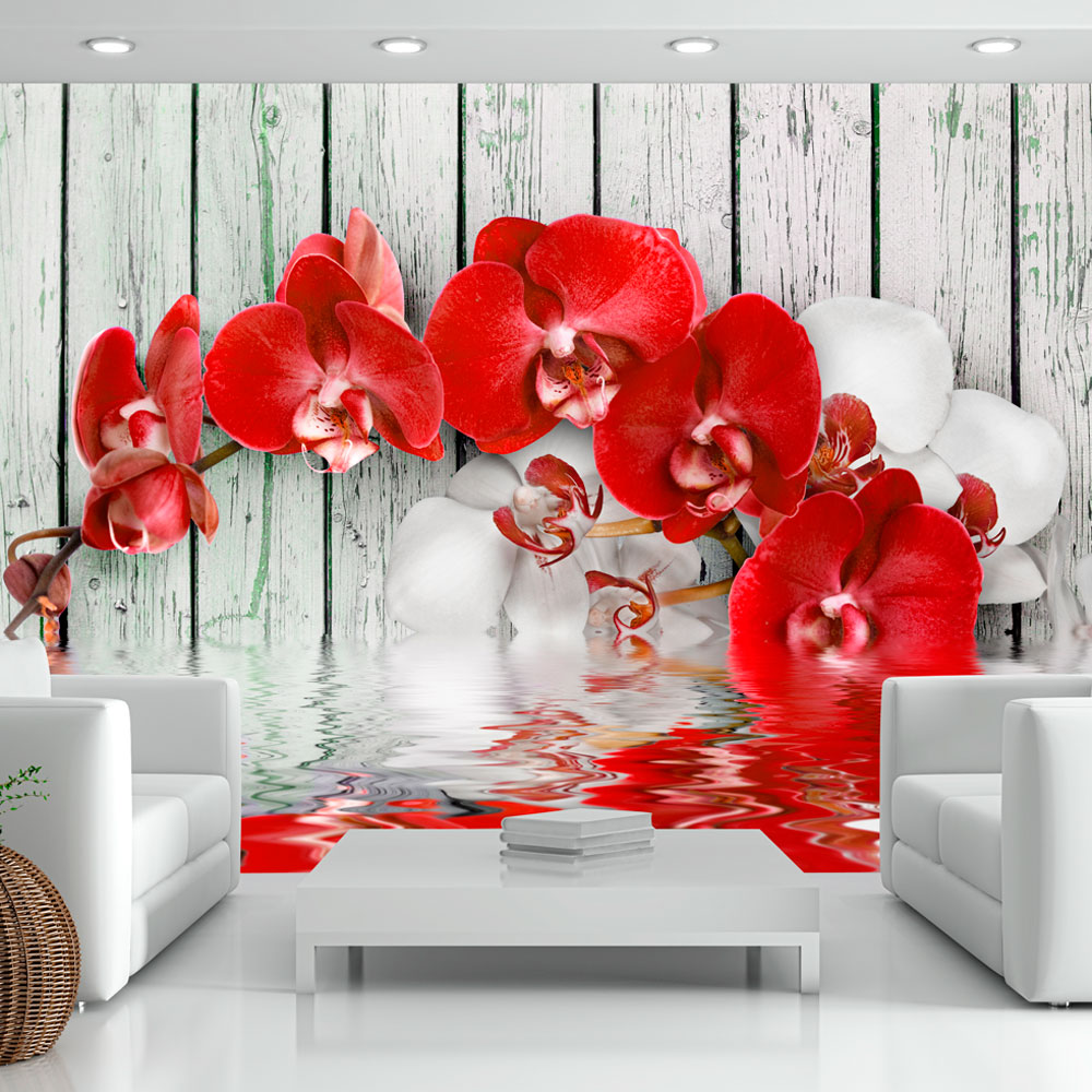 Fototapet Arkiio Ruby Orchid