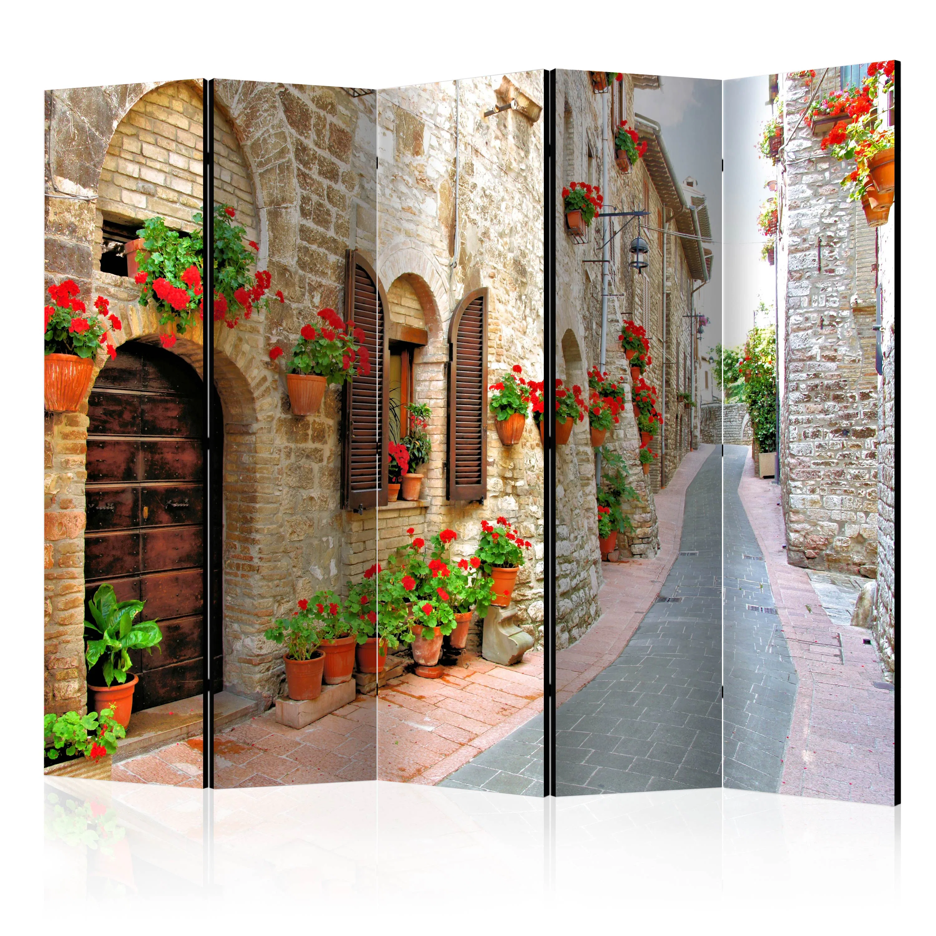 Rumsavdelare Arkiio Italian Province II 225x172 cm