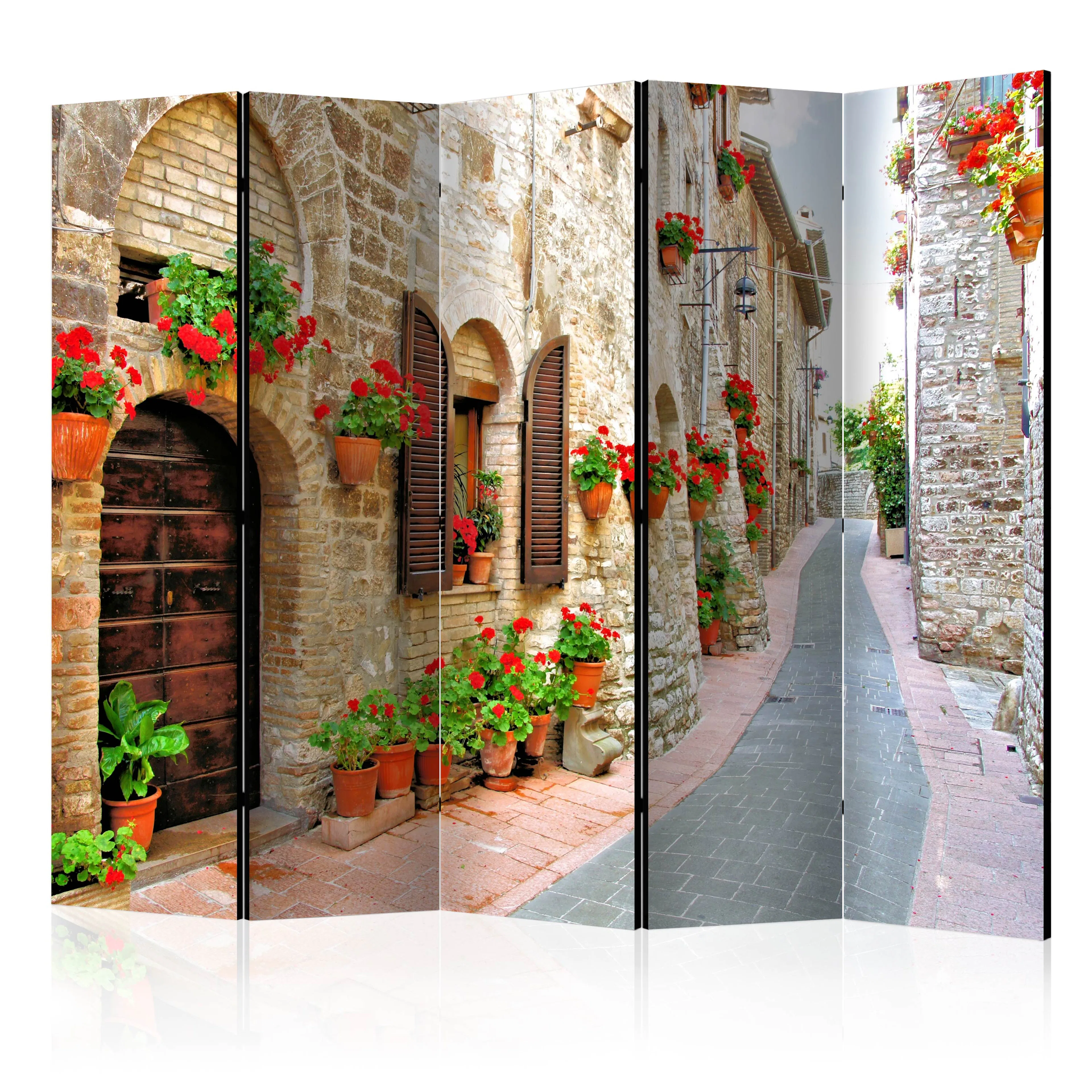 Rumsavdelare Arkiio Italian Province II 225x172 cm