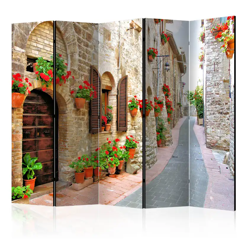 Rumsavdelare Arkiio Italian Province II 225x172 cm
