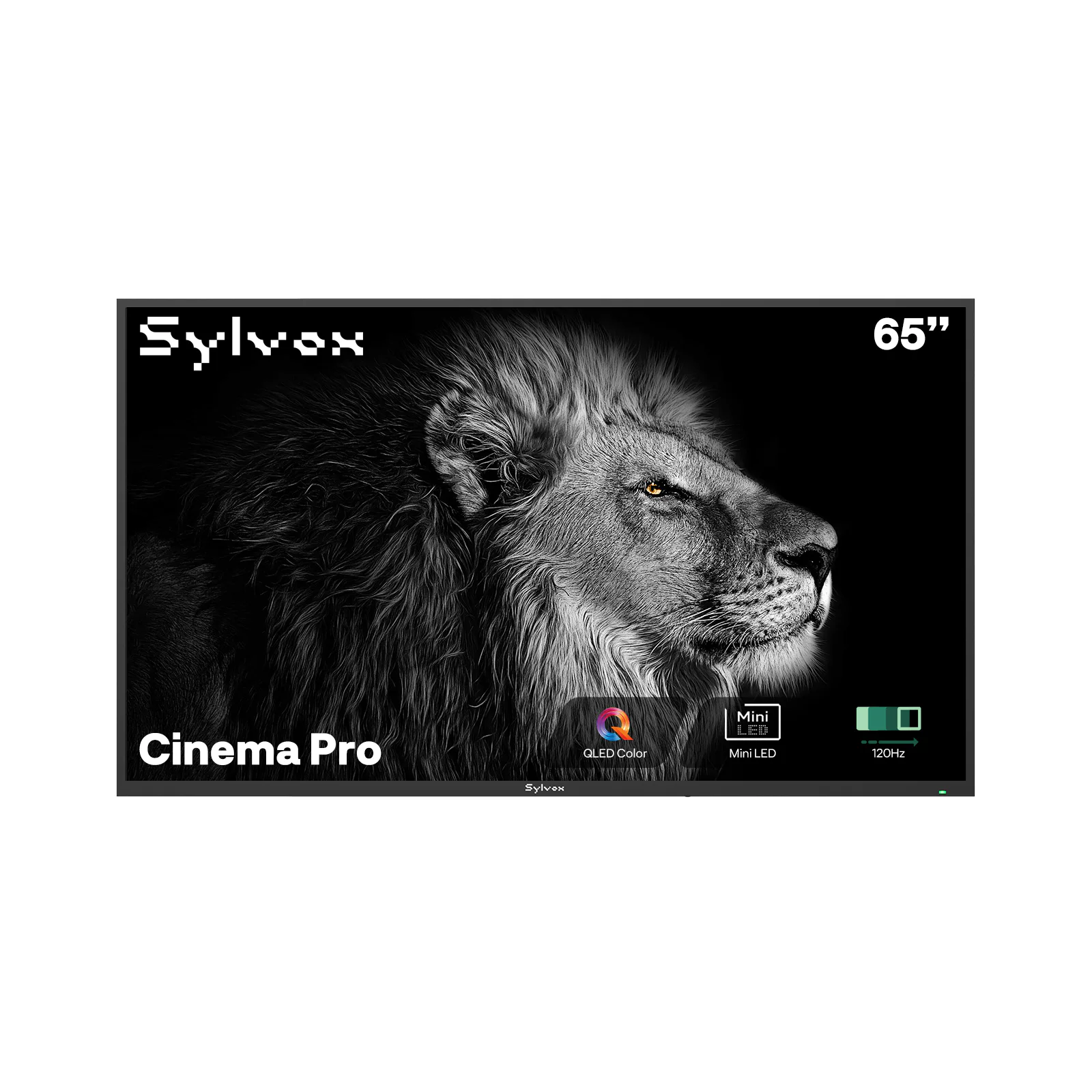 Utomhus TV Sylvox Cinema Pro 120Hz Helio QLED 65tum