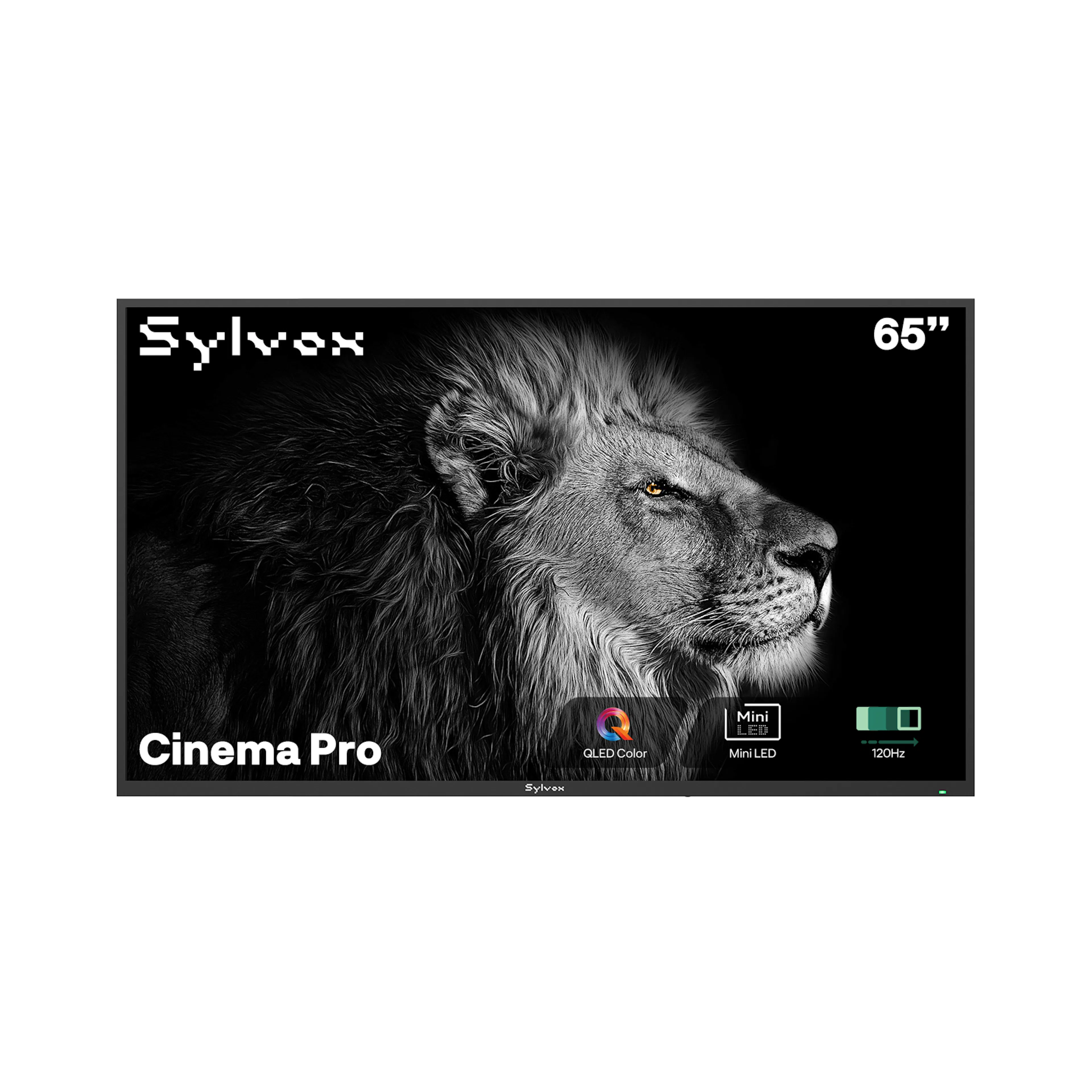 Utomhus TV Sylvox Cinema Pro 120Hz Helio QLED 65tum