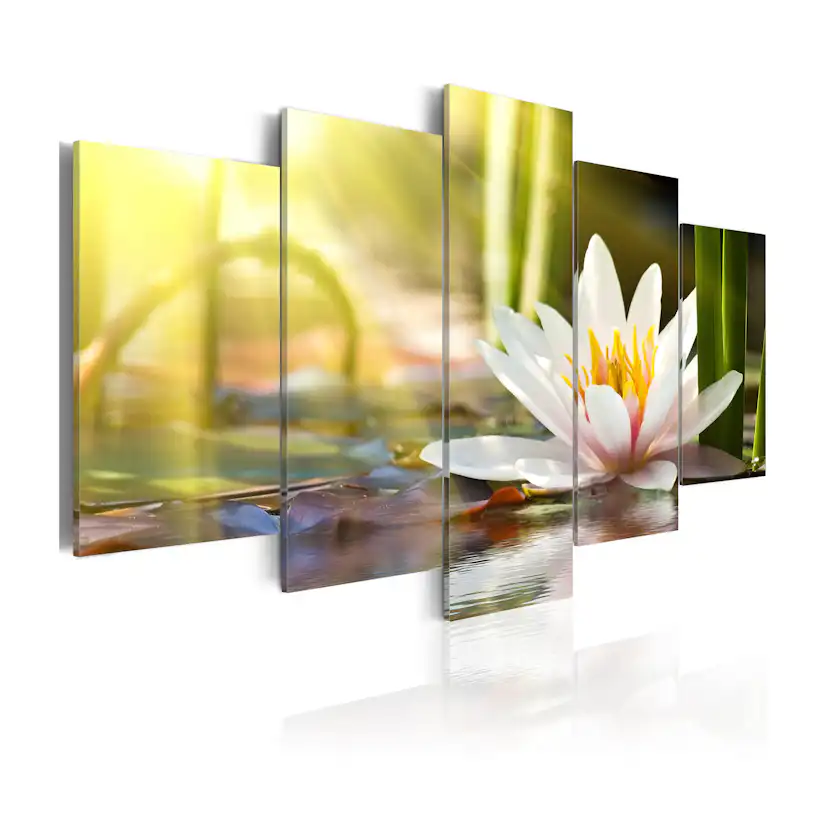 Tavla Arkiio Sunny Lotus