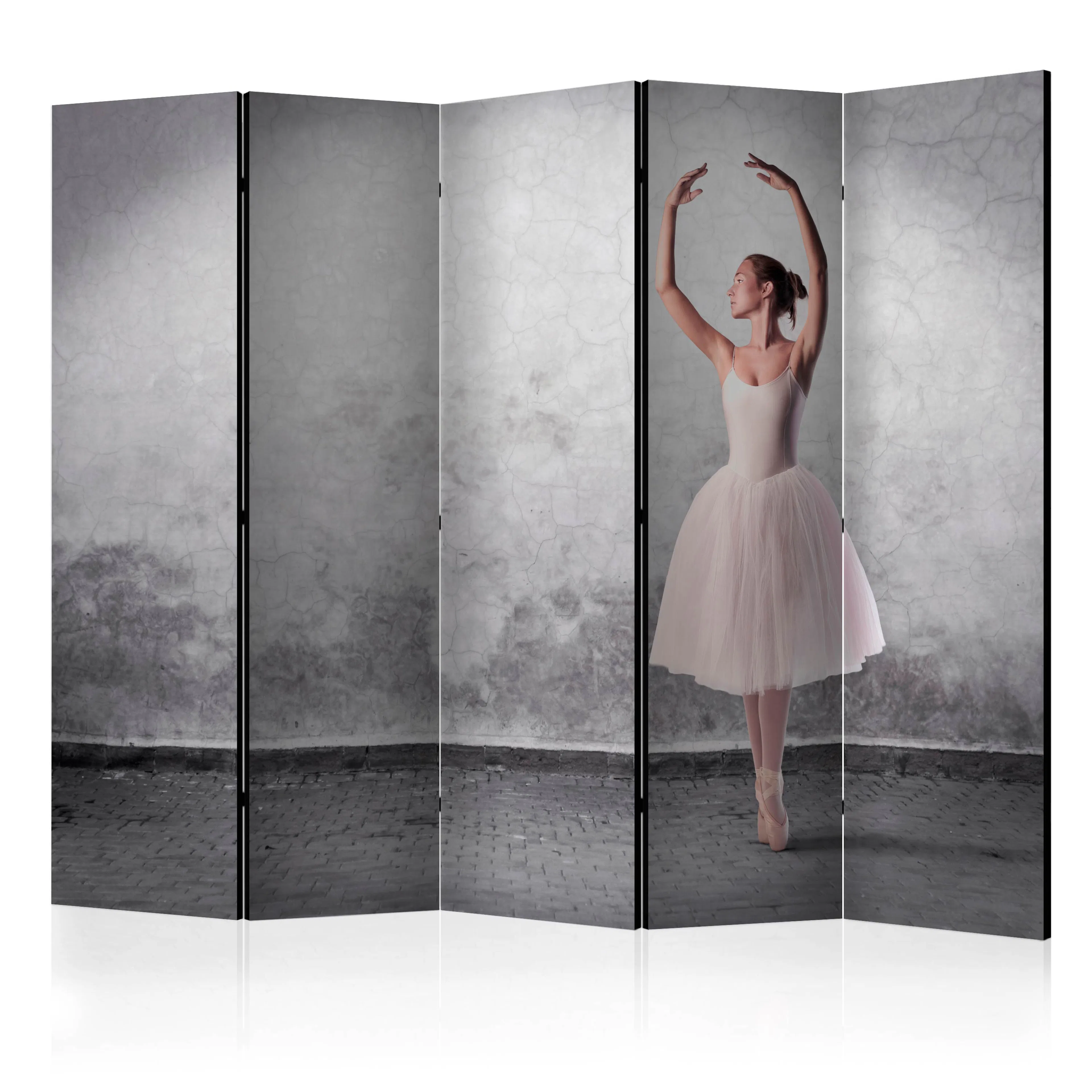 Rumsavdelare Arkiio Ballerina in Degas Paintings Style II 225x172 cm