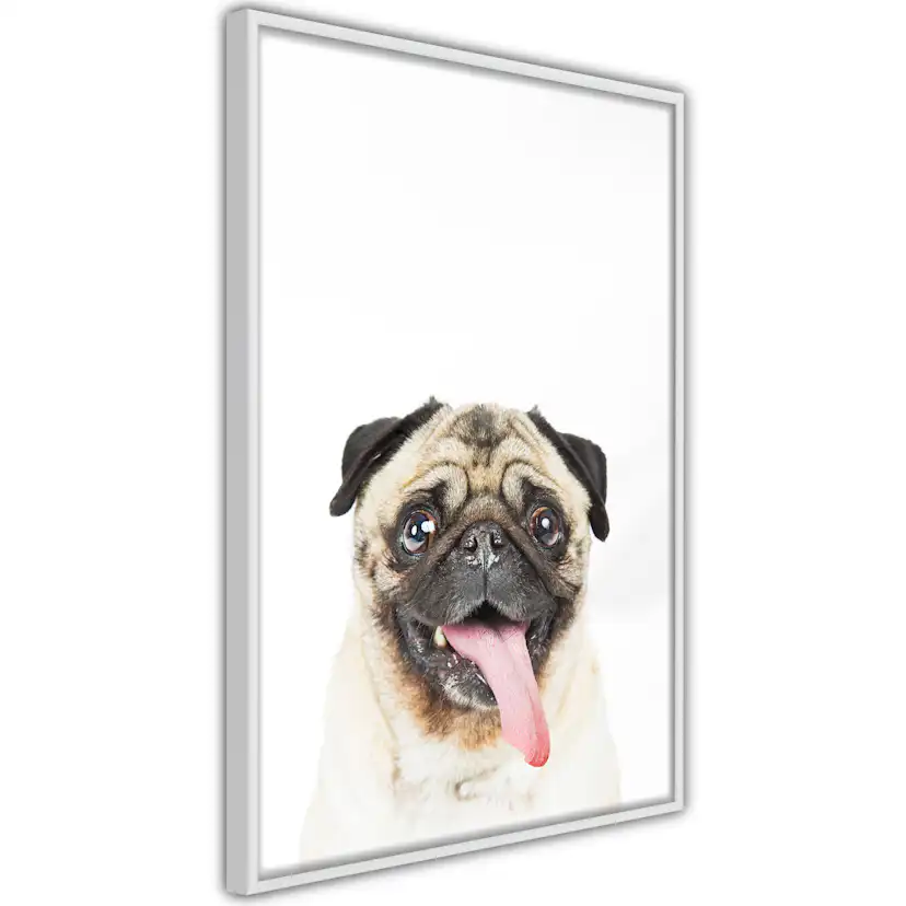 Poster Artgeist Affisch Pug