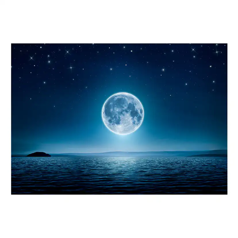 Fototapet Arkiio Moonlit Night