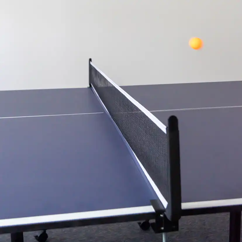Pingisbord ProSport Officiell Storlek Hopfällbar