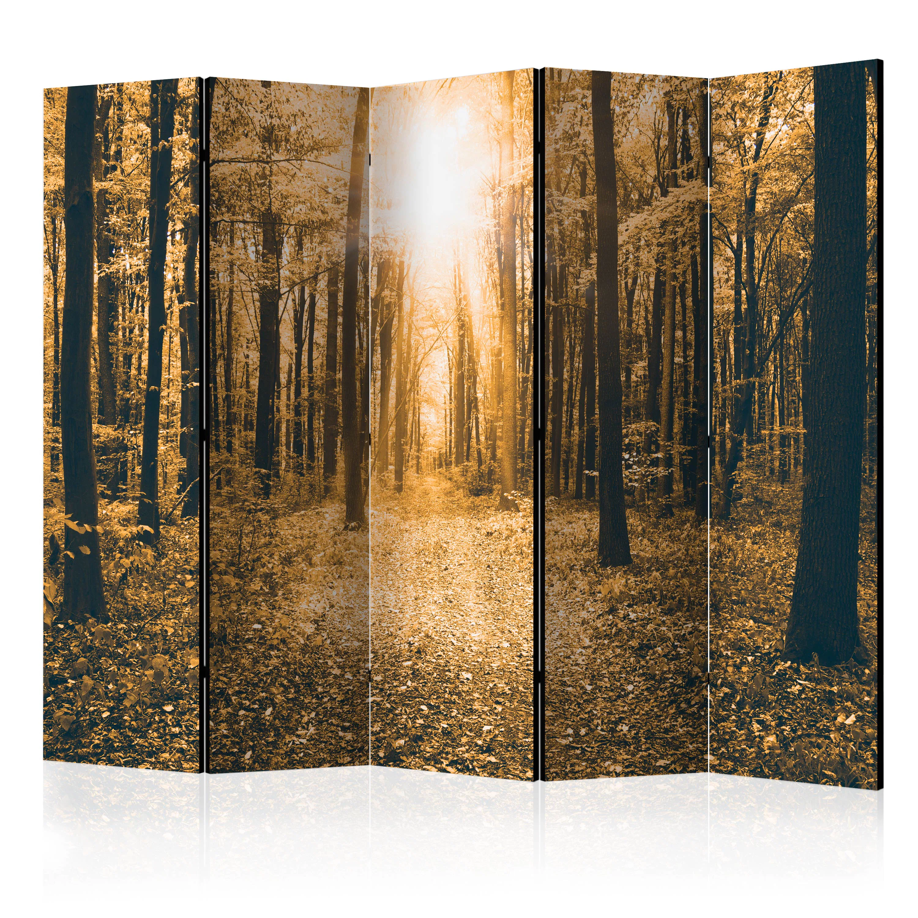 Rumsavdelare Arkiio Magical Light II 225x172 cm