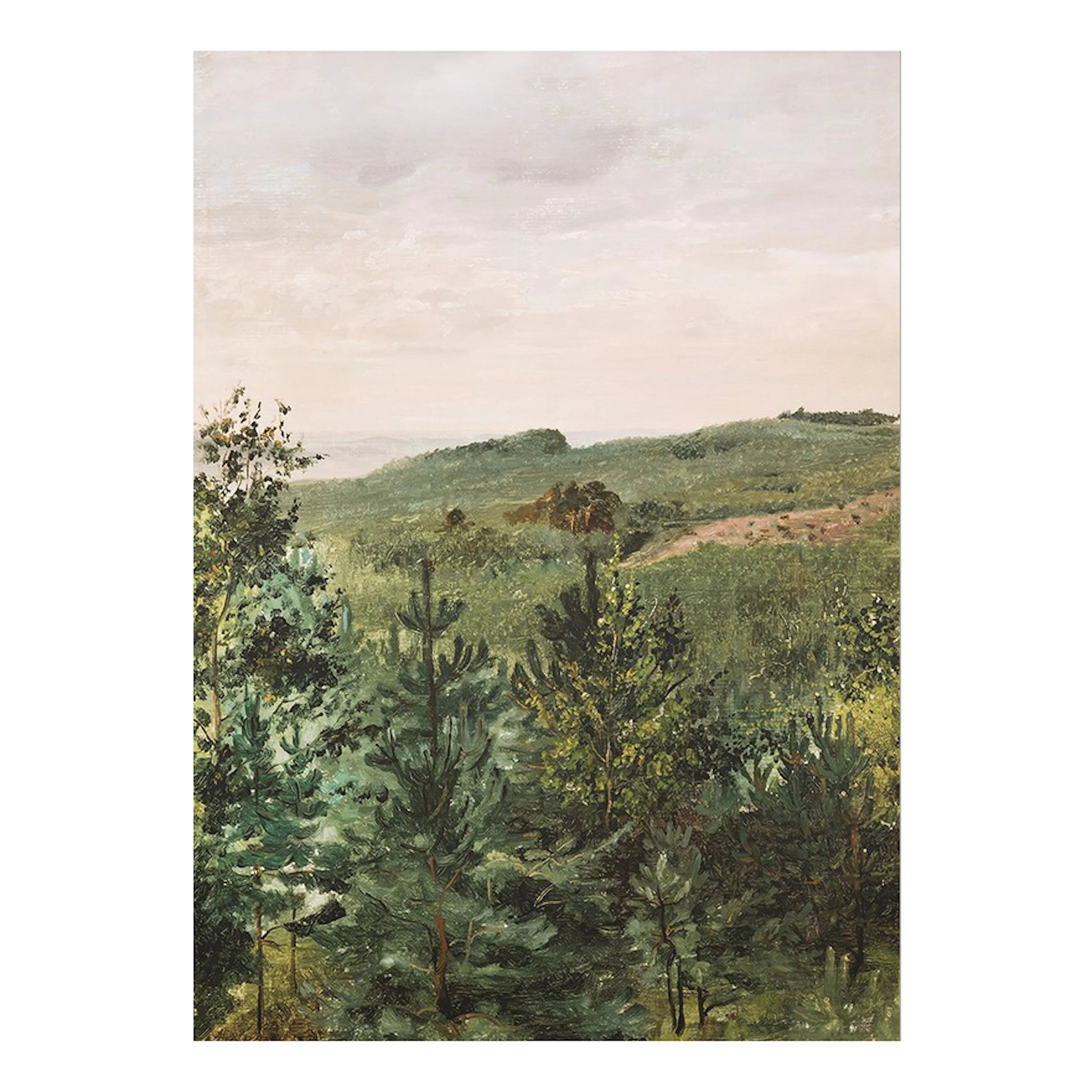 Spruce Saplings in Sandy Soil Study By Werner Holmberg 30x40 40x30
