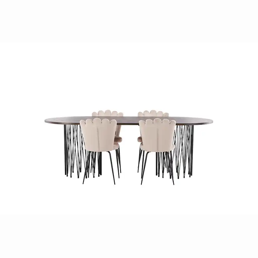 Matgrupp furniture/fashion Stone med 4 Limhamn Light Stolar