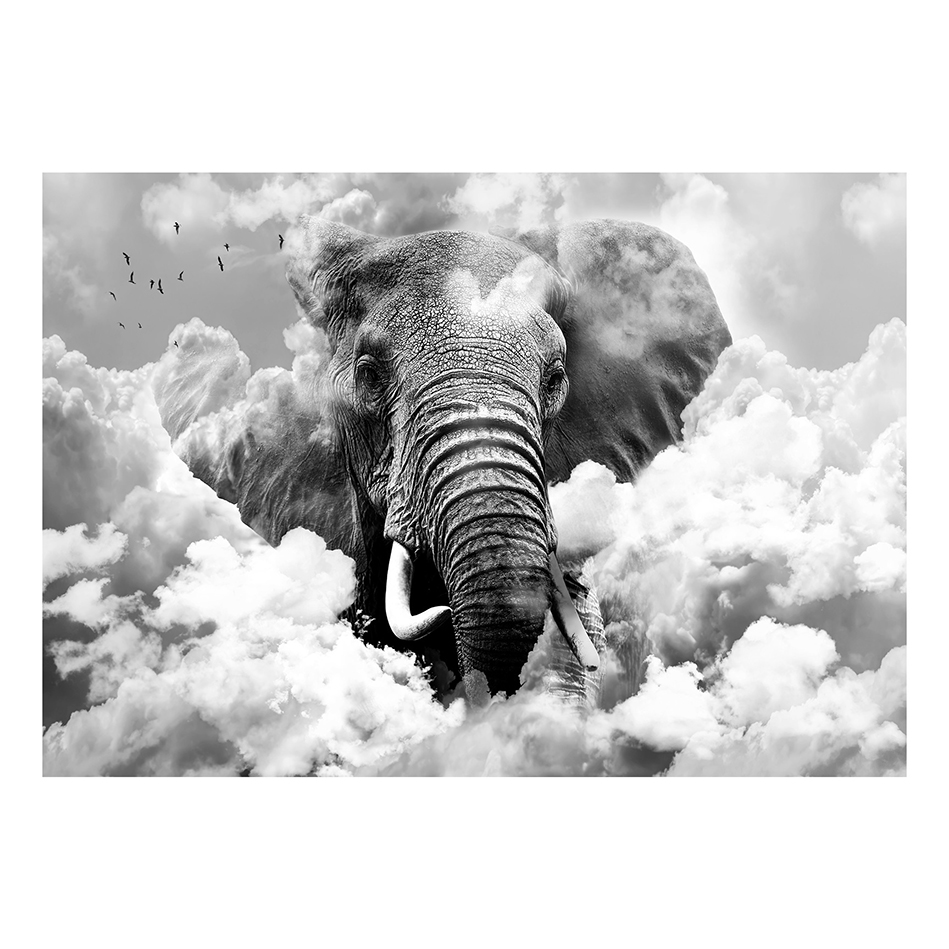 Fototapet Arkiio Elephant In The Clouds Black And White
