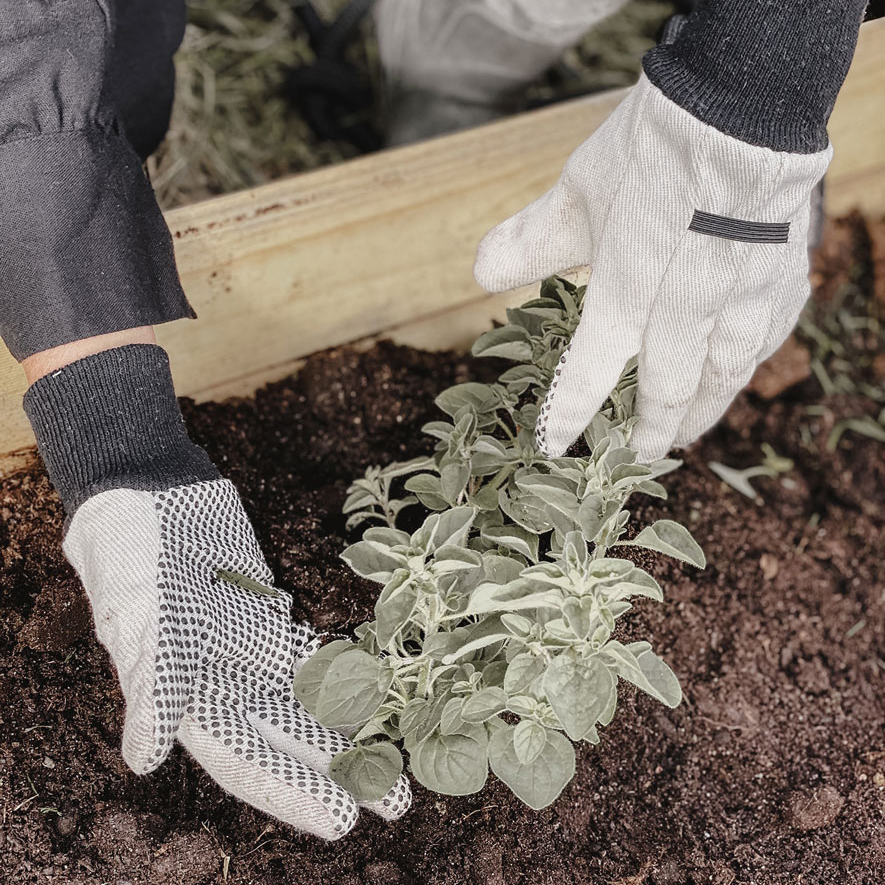 Trädgårdshandske by Benson Basic