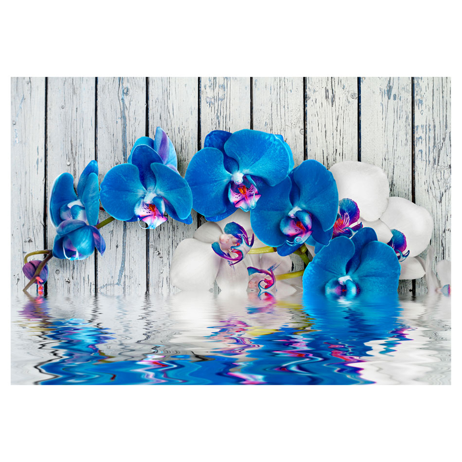 Fototapet Arkiio Cobaltic Orchid
