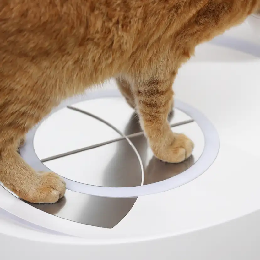 Kattvåg Våg Inpet CV1