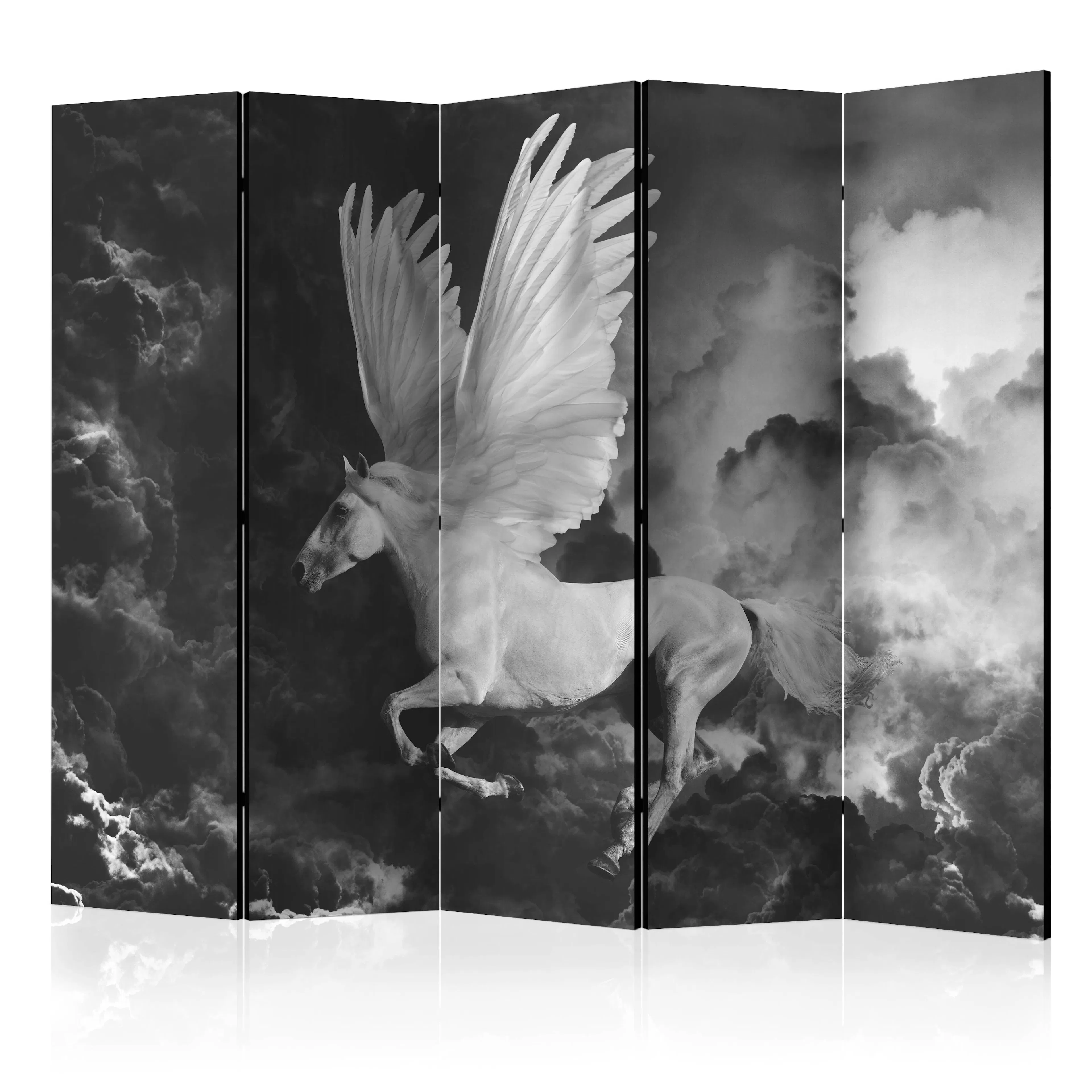 Rumsavdelare Arkiio Pegasus on the Way to Mount Olympus II 225x172 cm