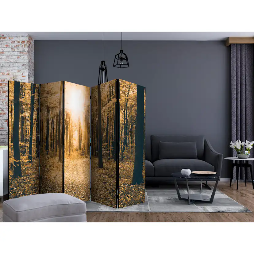 Rumsavdelare Arkiio Magical Light II 225x172 cm