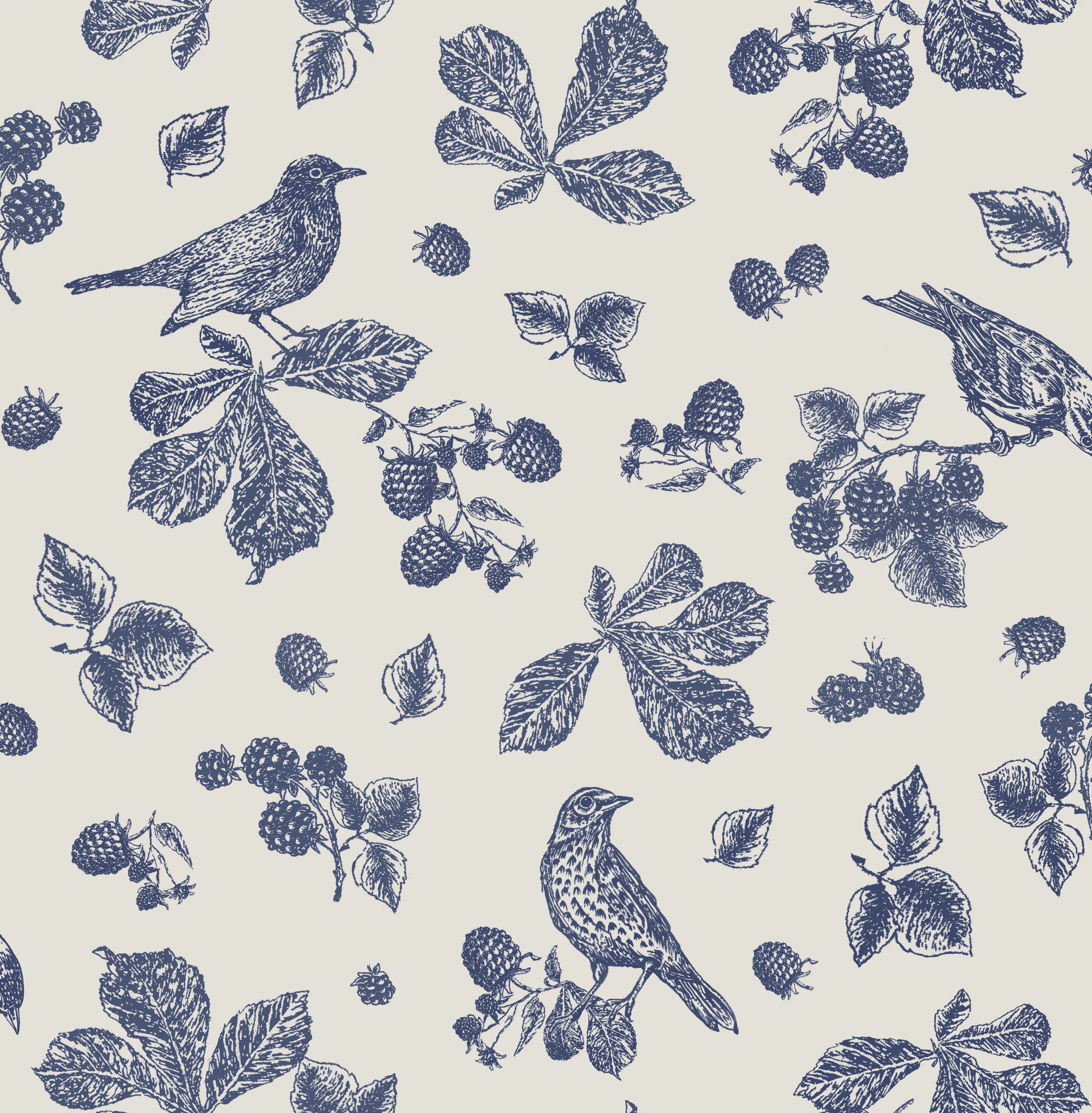Tapet Joules Blackberry Bird 120868