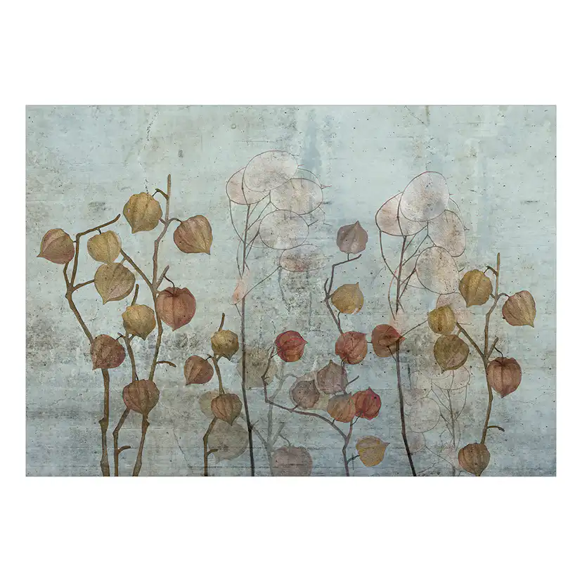 Fototapet Arkiio Painted Lunaria