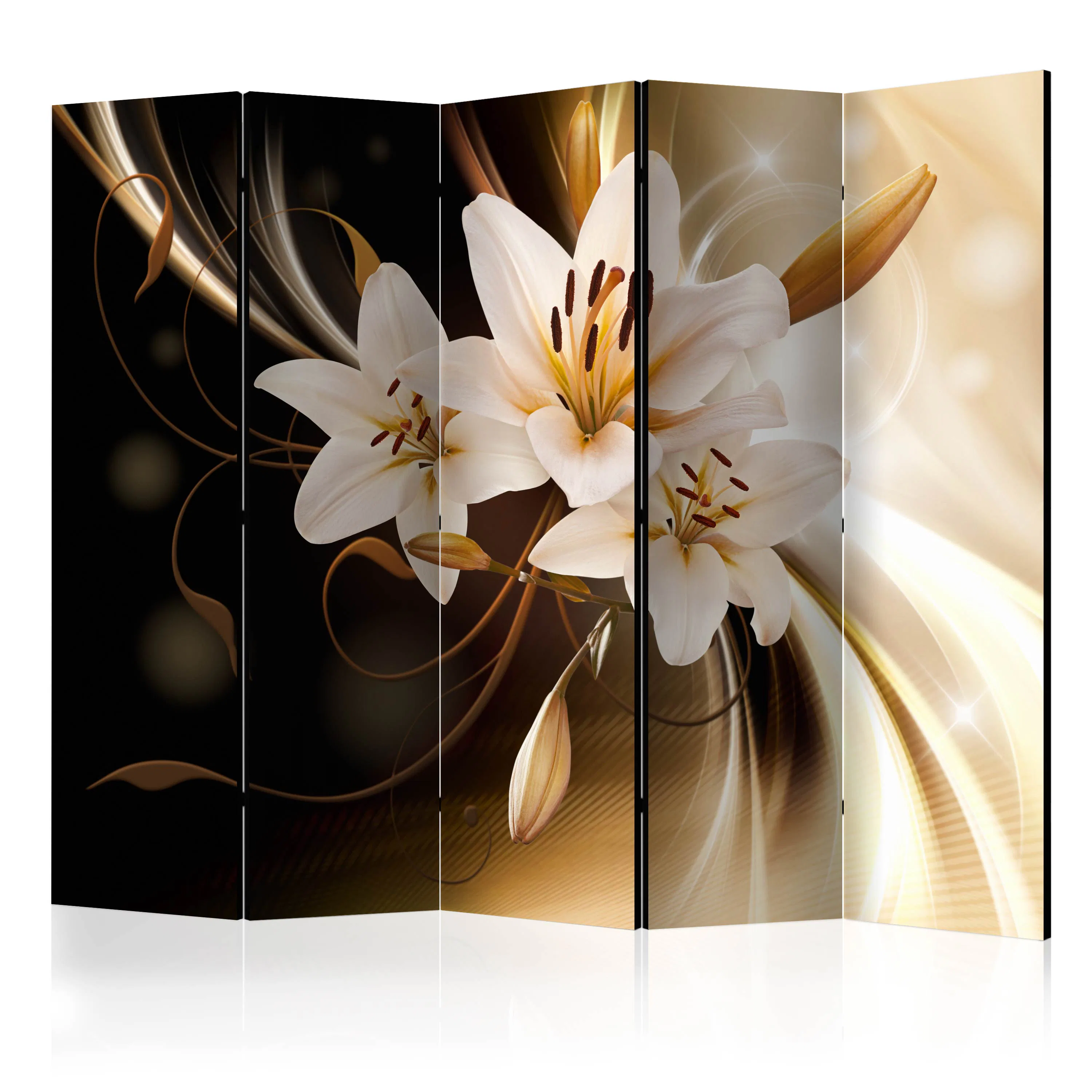 Rumsavdelare Arkiio Circle of Light II 225x172 cm