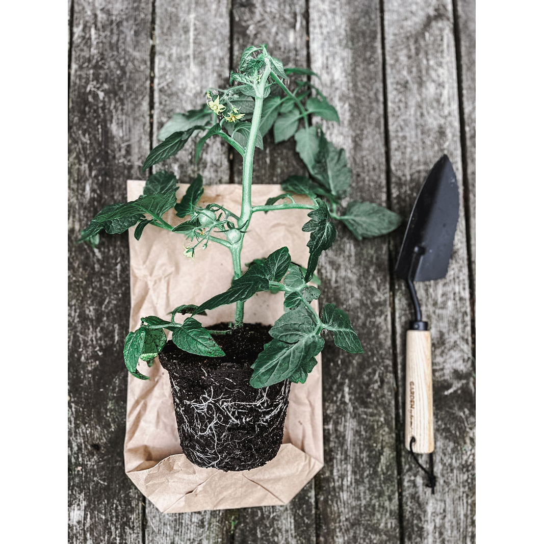 Trädgårdsspade by Benson