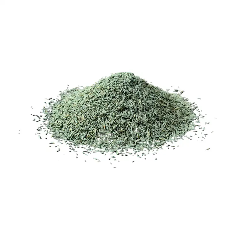 Gräsfrö Xeed Reparera 5 kg
