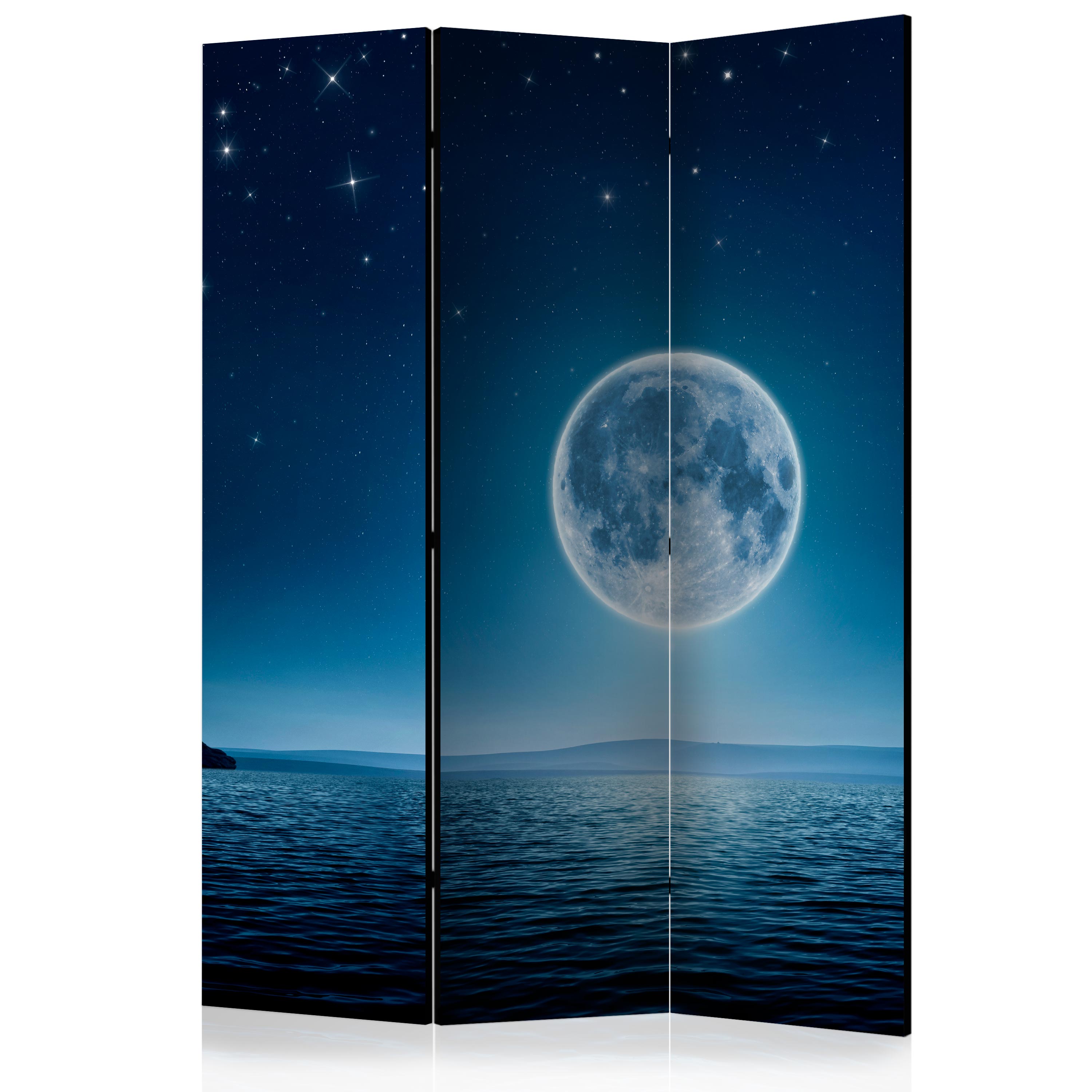 Rumsavdelare Arkiio Moonlit Night 135x172 cm