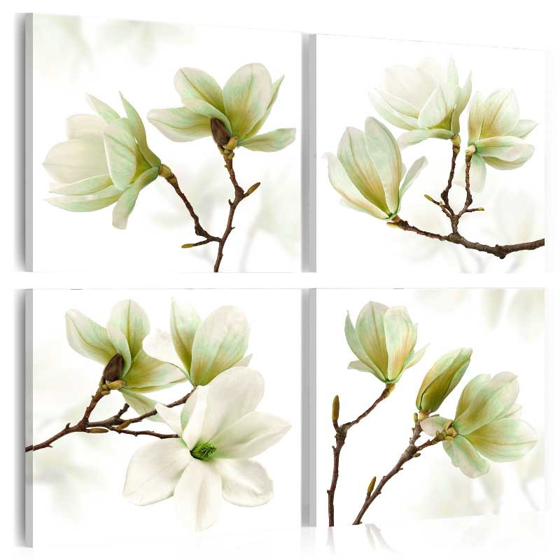 Tavla Arkiio Admiration Of Magnolia