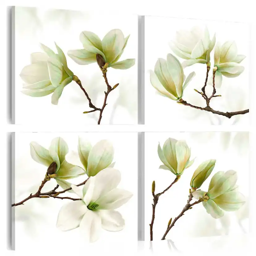 Tavla Arkiio Admiration Of Magnolia