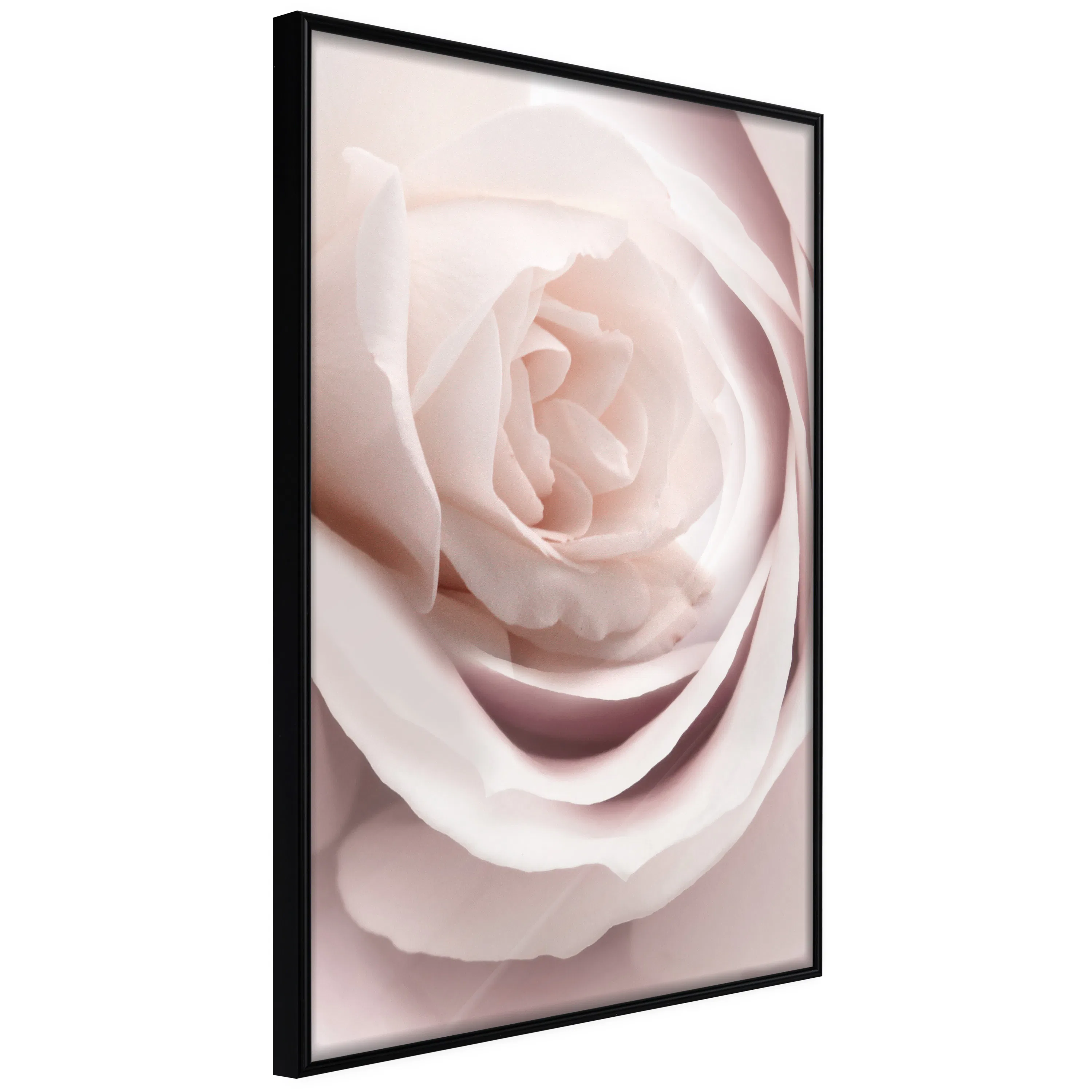 Poster Artgeist Affisch Porcelain Rose