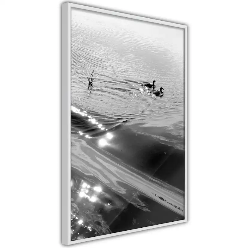 Poster Artgeist Affisch Ducks