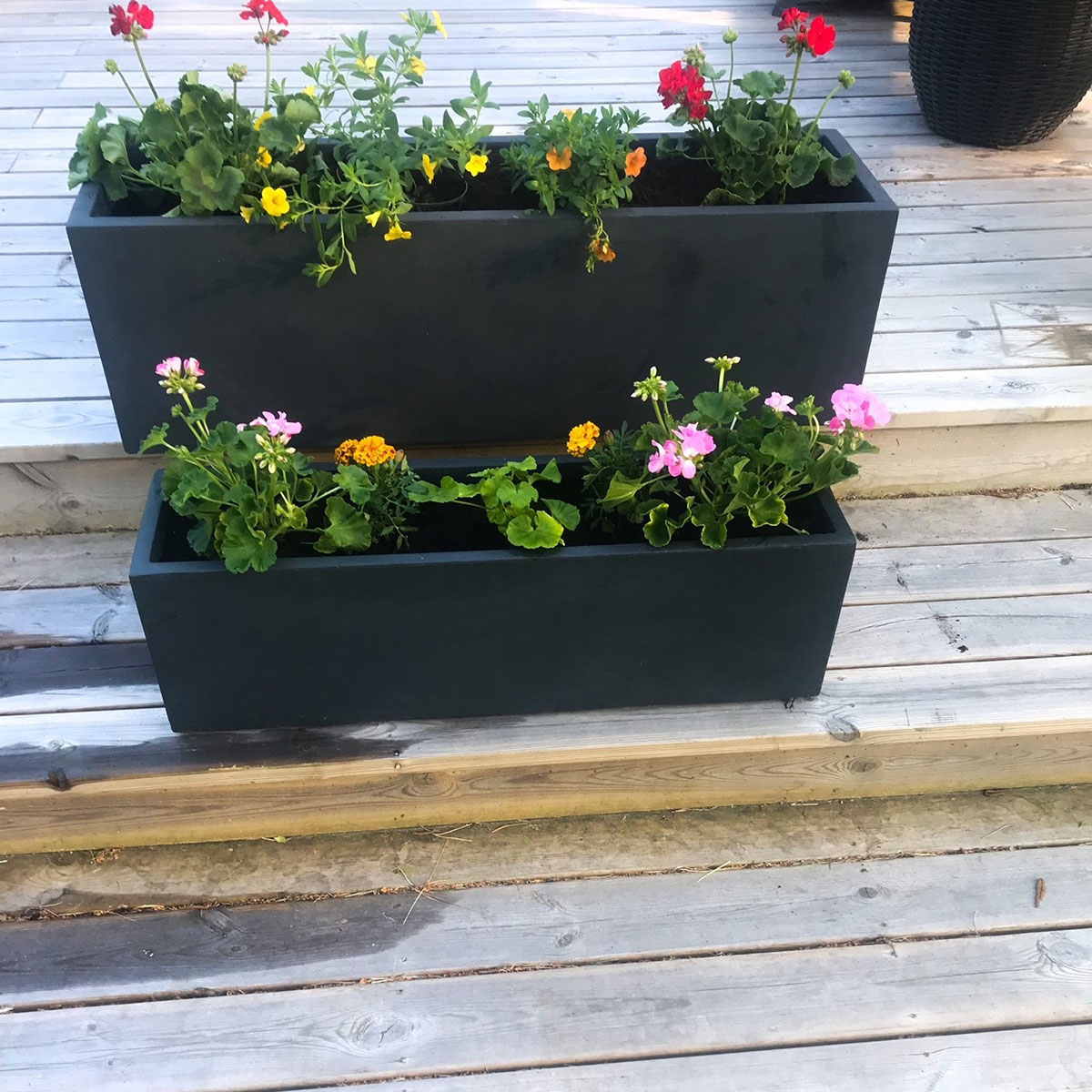Blomlåda Lyfco Svart 120