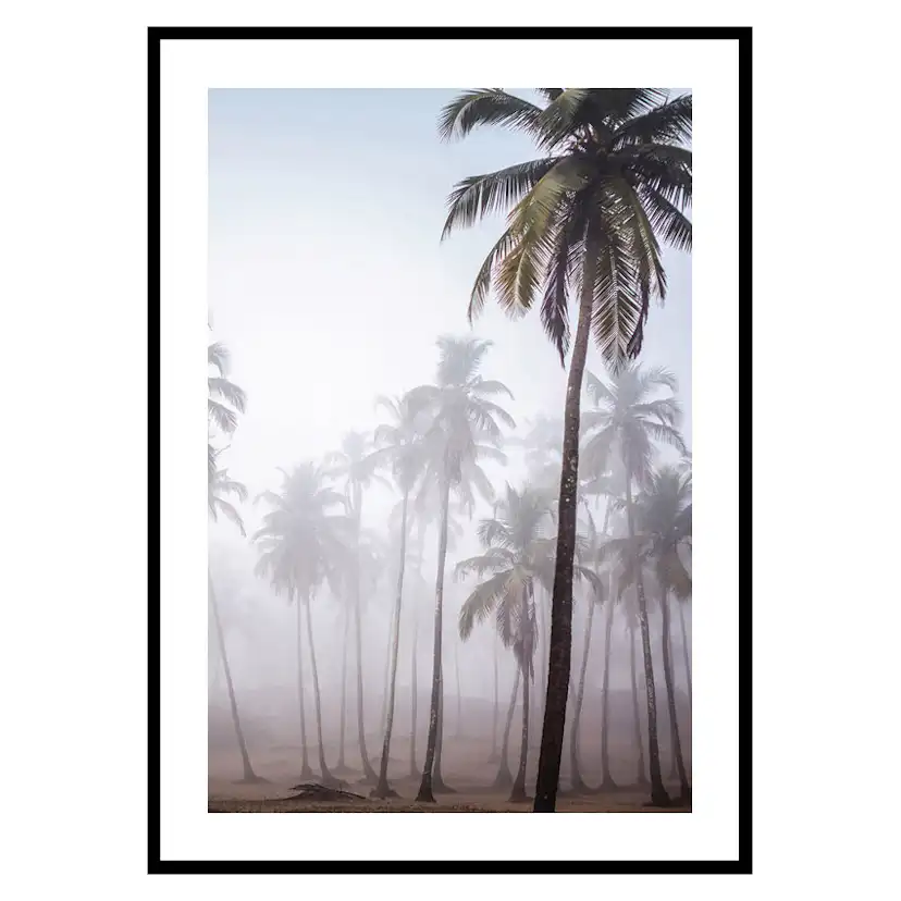 Poster Gallerix Palms In Haze