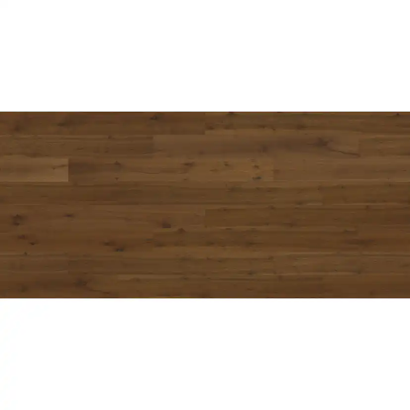 STARBY 3.0 XXL