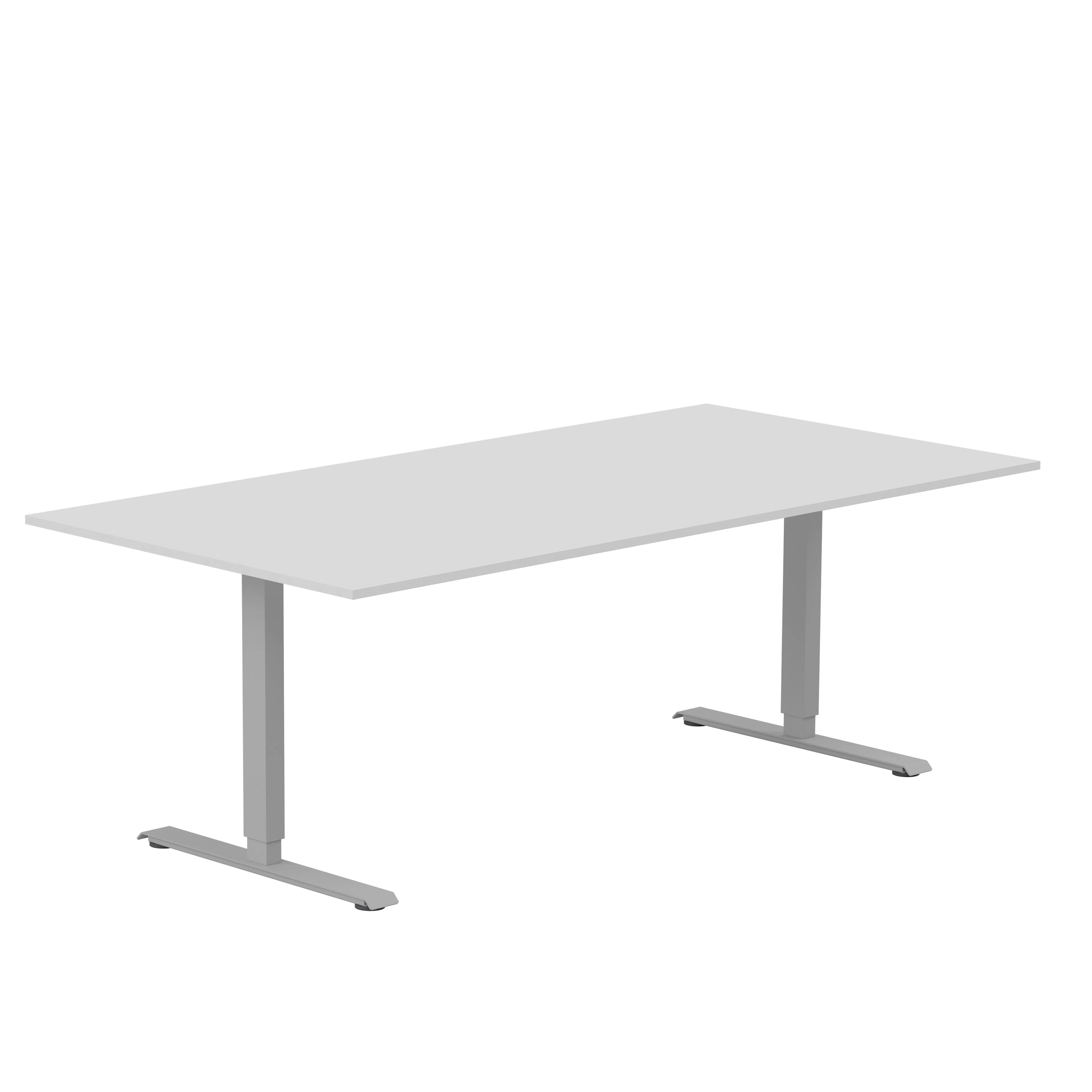 Ljusgrå/Silver