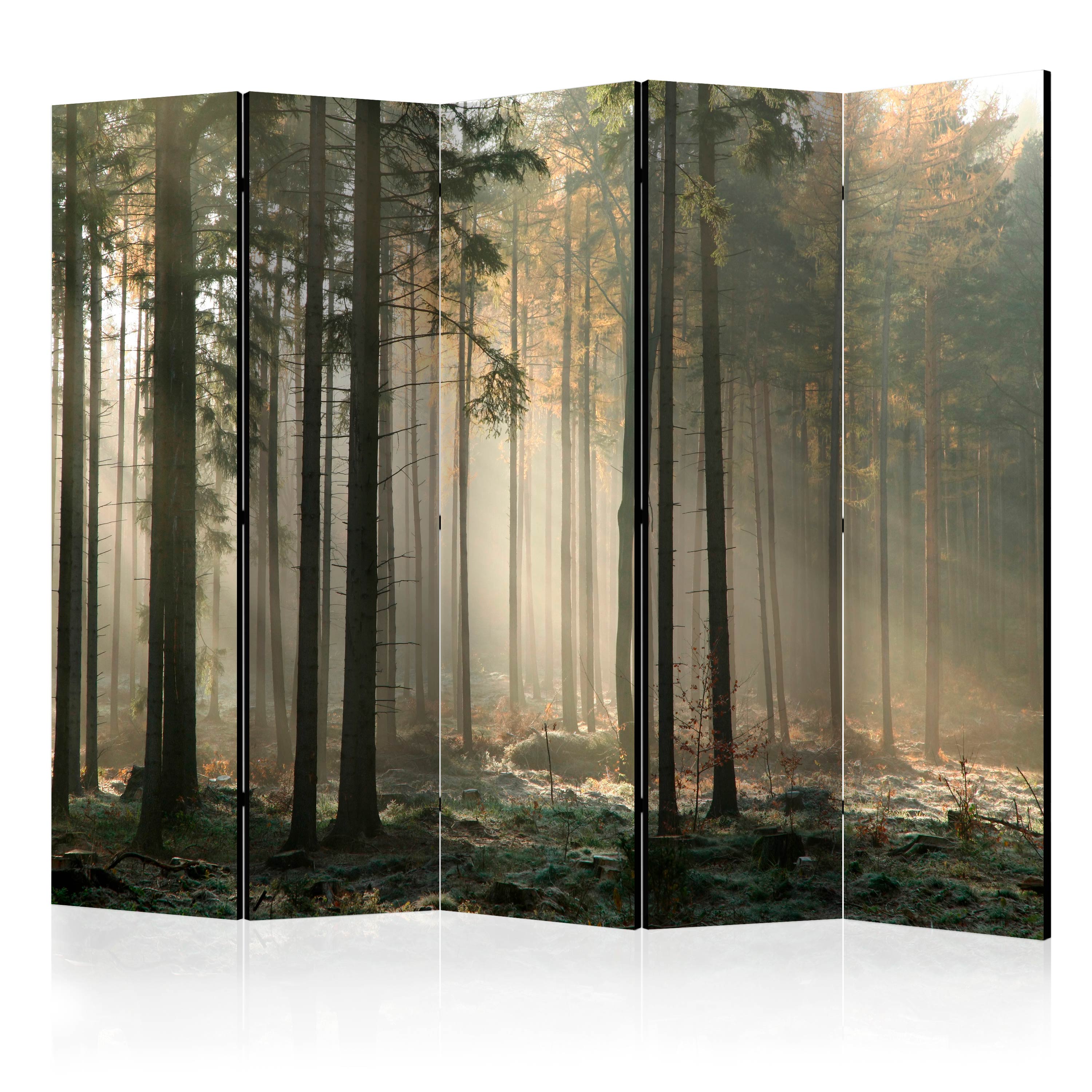 Rumsavdelare Arkiio Foggy November Morning II 225x172 cm