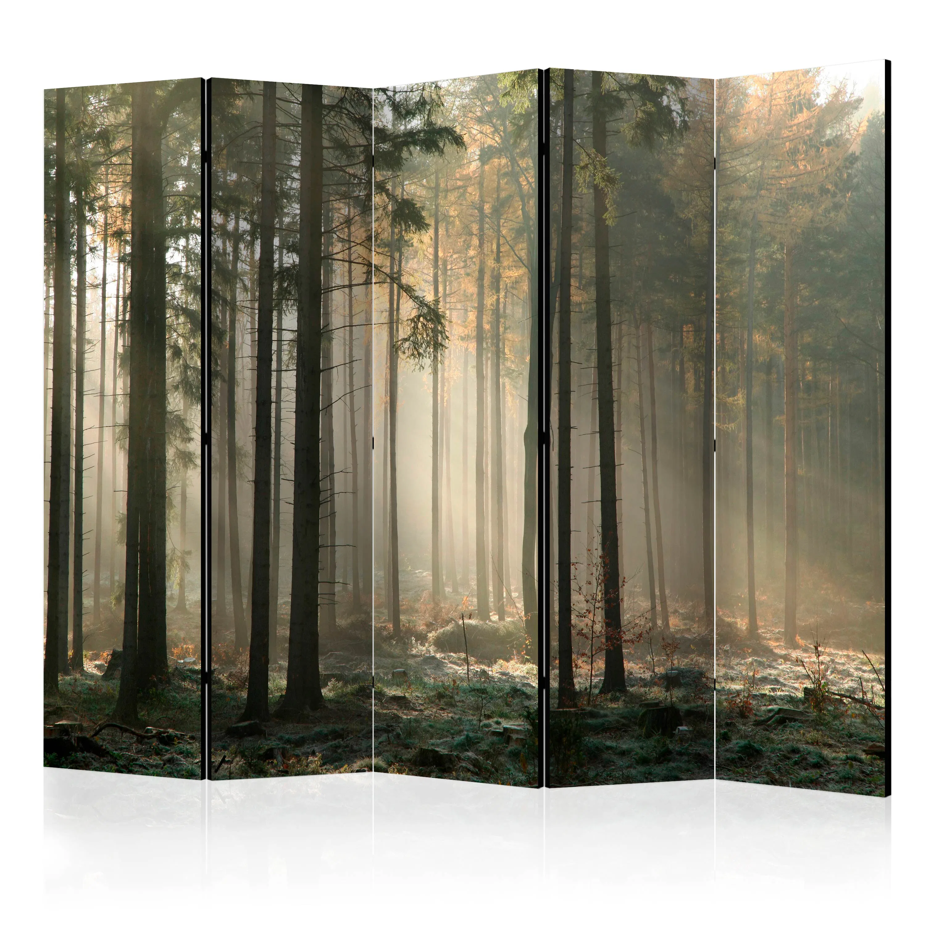 Rumsavdelare Arkiio Foggy November Morning II 225x172 cm