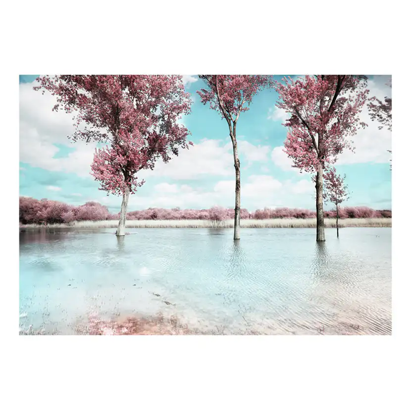 Fototapet Arkiio Autumn Scenery