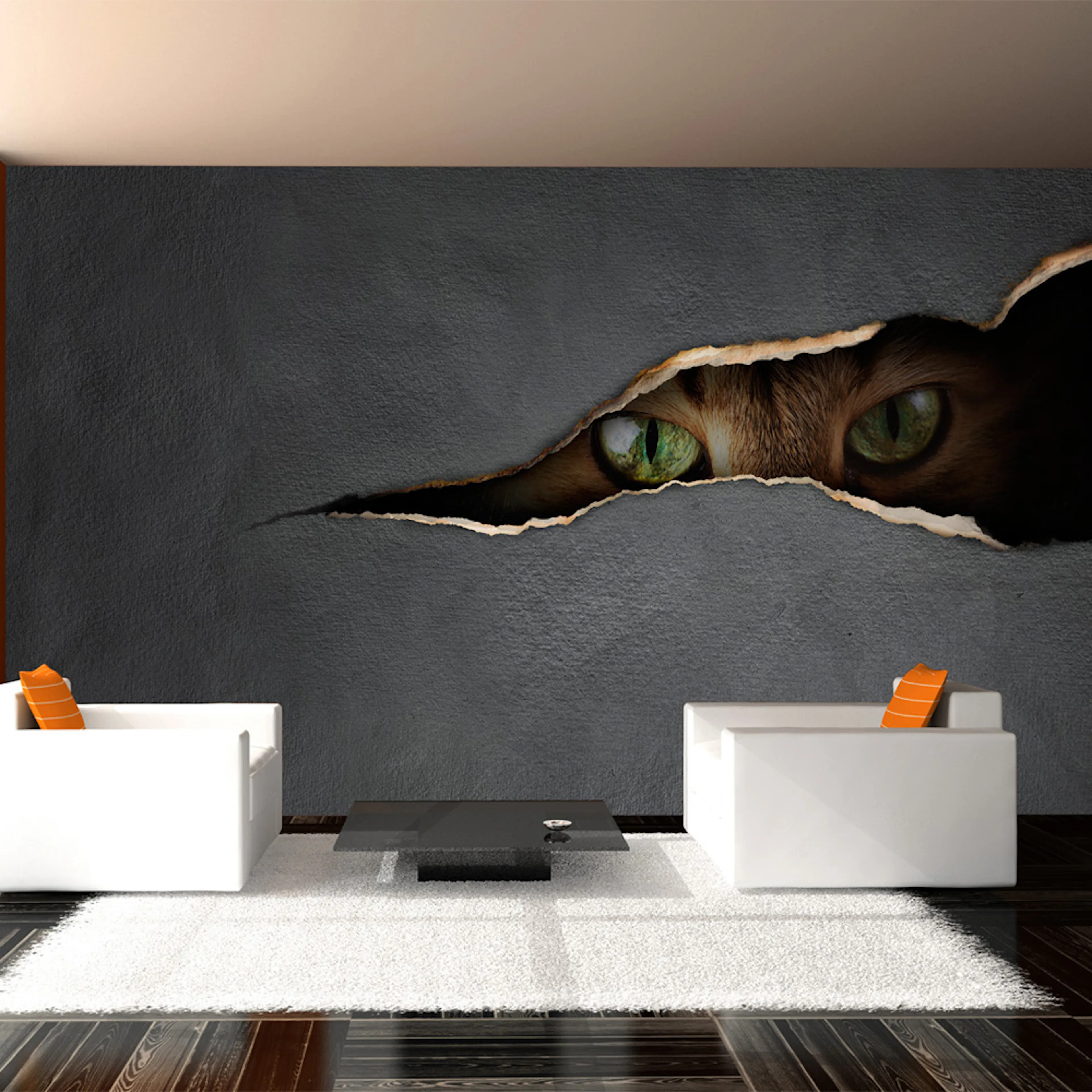 Fototapet Arkiio Kattens blick 450x270 cm