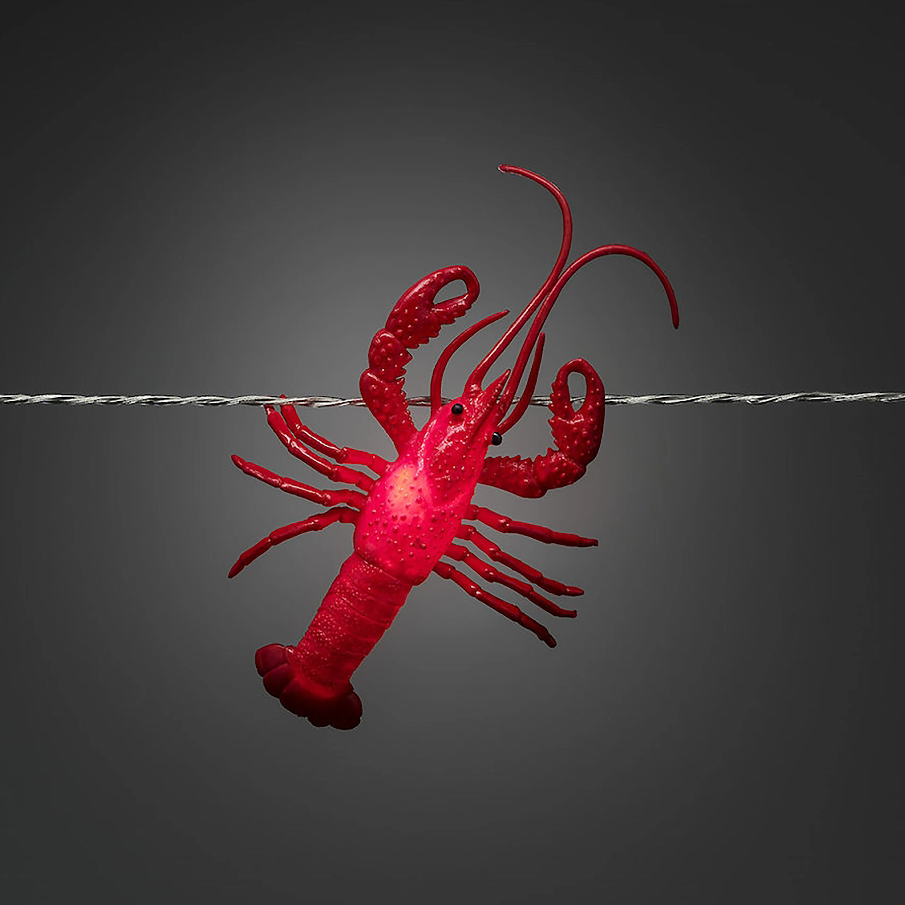 Ljusslinga Gnosjö Konstsmide Kräftor LED med Timer