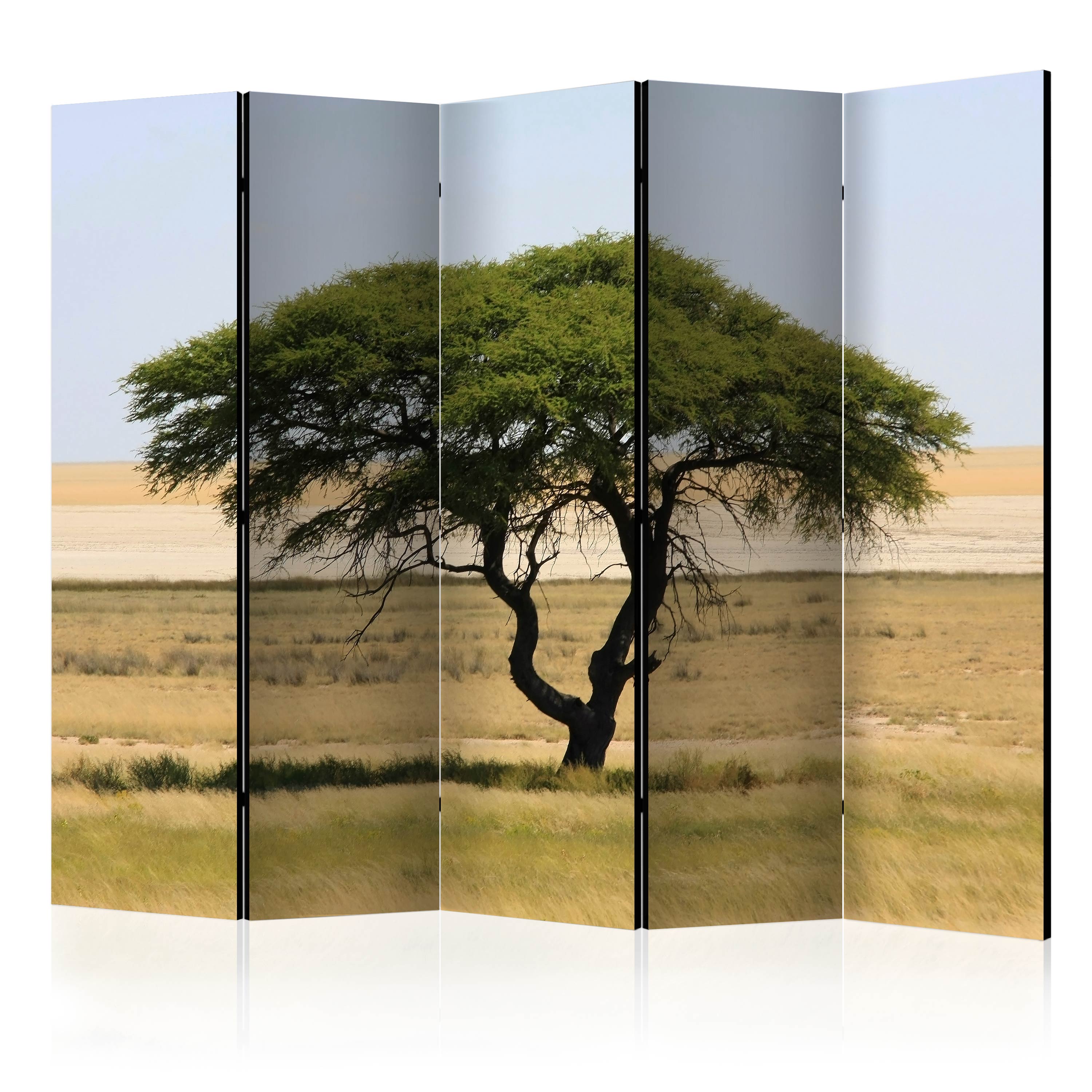 Rumsavdelare Arkiio Etosha National Park Namibia II 225x172 cm
