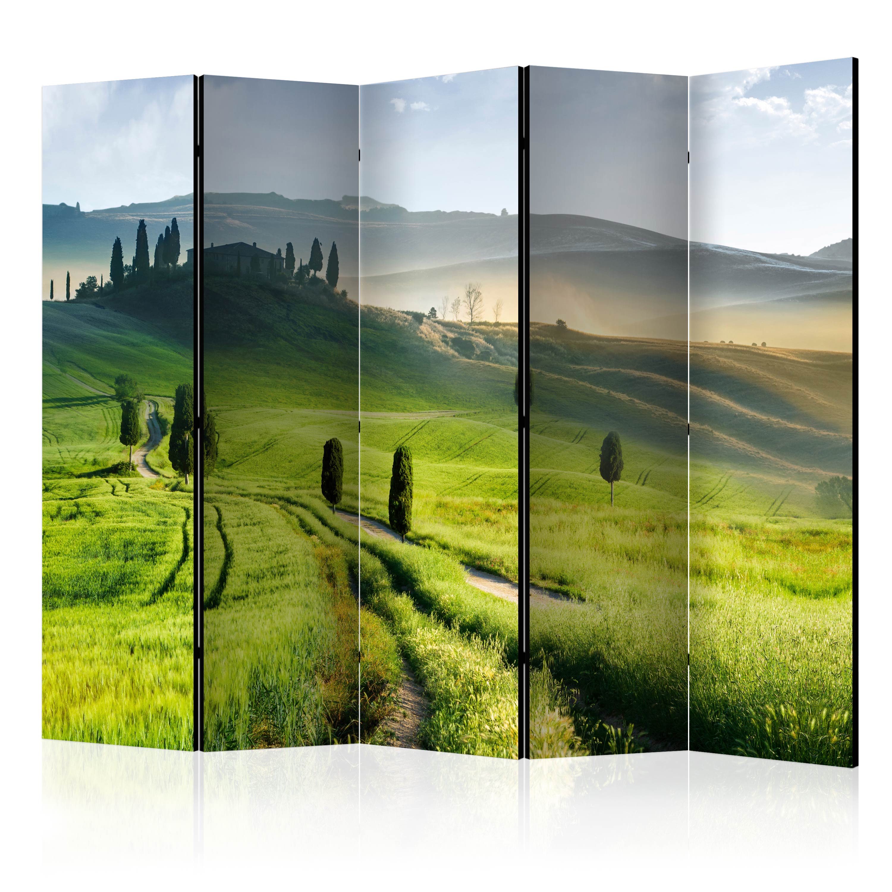 Rumsavdelare Arkiio Morning in the Countryside II 225x172 cm